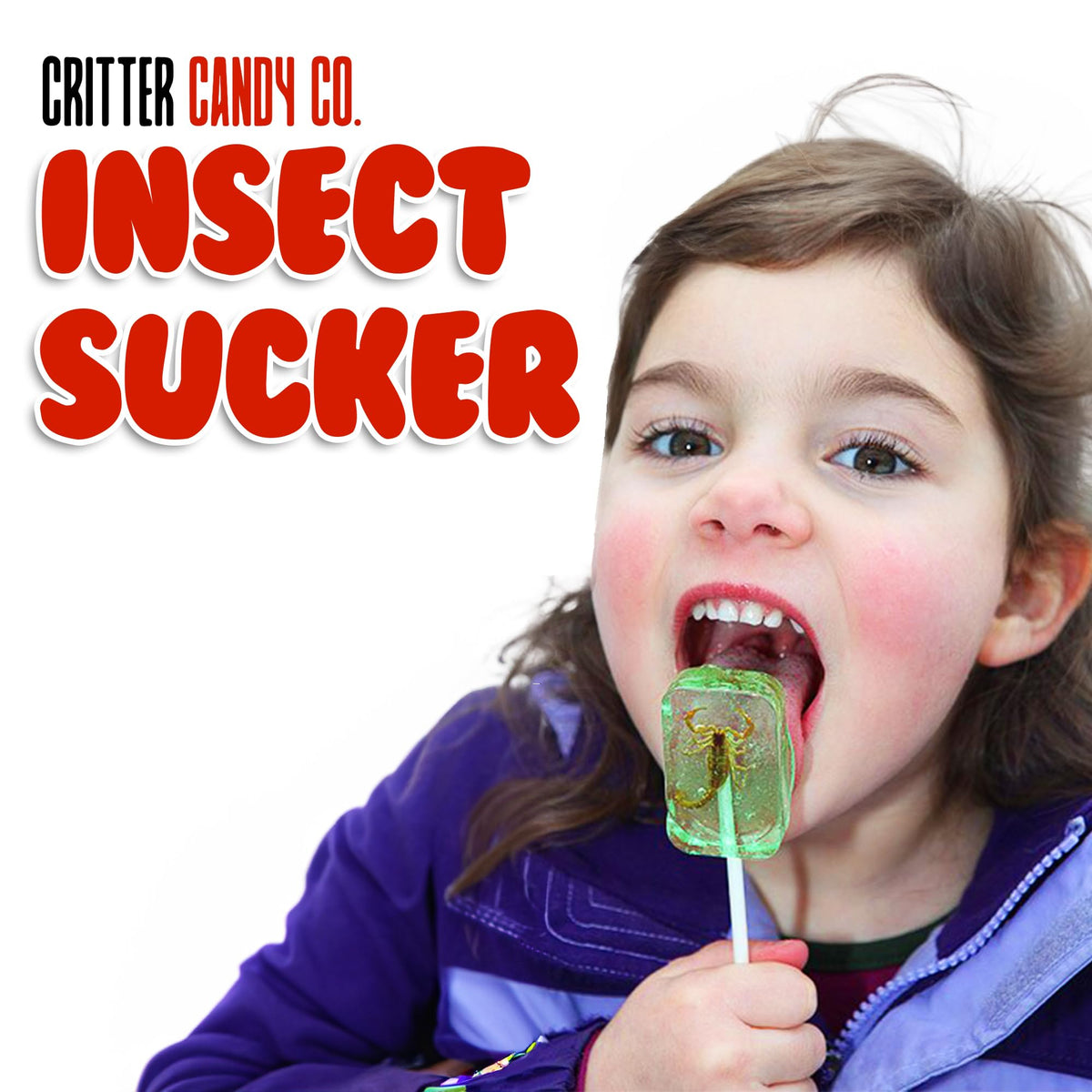 HotLix Insect Lollipops (16-Pack) – Scorpions, Worms, Ants & Crickets | Jerky-n-Spice