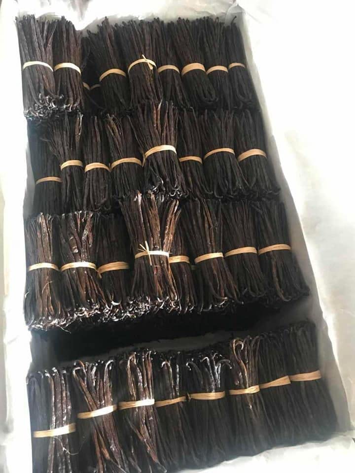 JL Gourmet Imports: 50 Madagascar Vanilla Beans Whole Grade A Pods for Baking, Extract, Cooking, Brewing