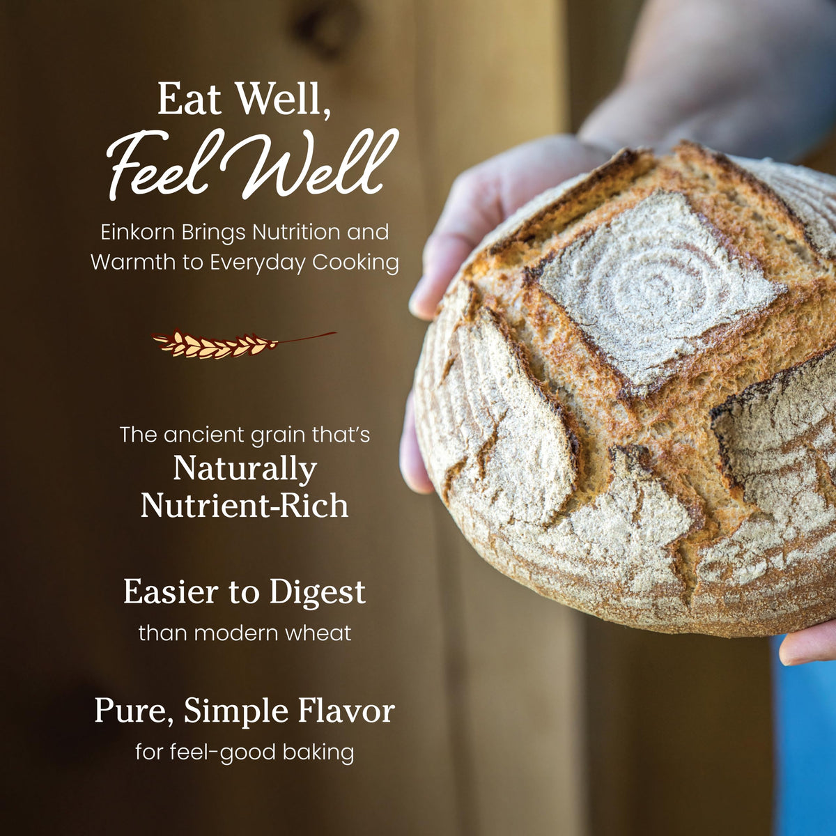 Jovial Organic Einkorn Whole Wheat Flour - 2 lb Pack | Non-GMO, Organic, Glyphosate-Free for Sourdough, Pizza & Pasta