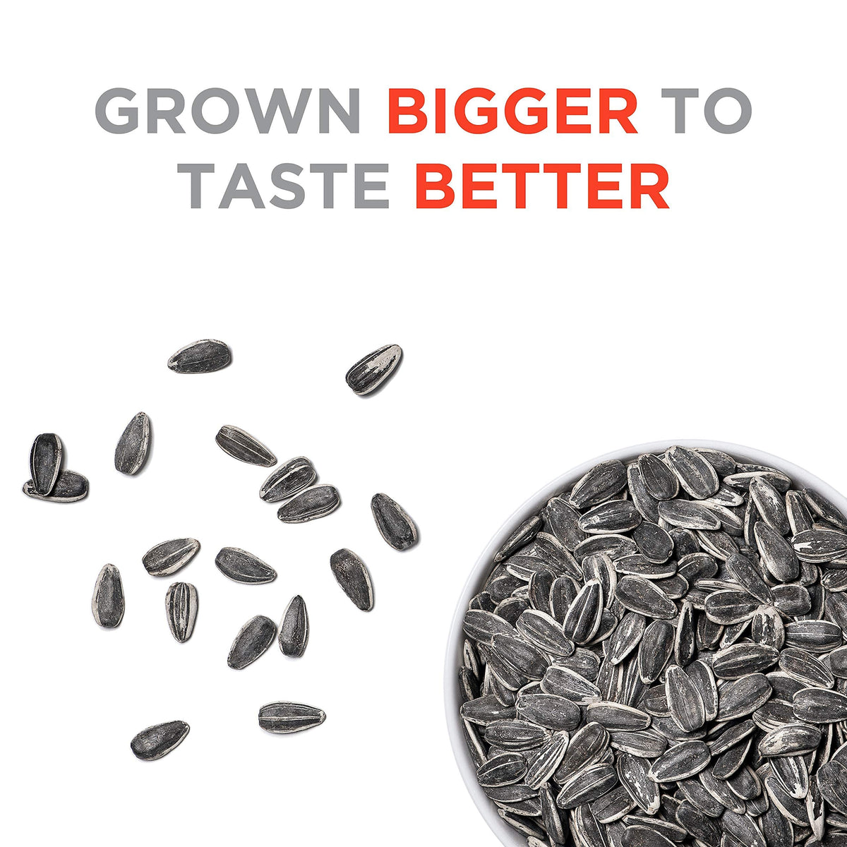 JUMBO SUNFLOWER SEEDS Original – 16oz Pack of 6 | Roasted & Salted Snack