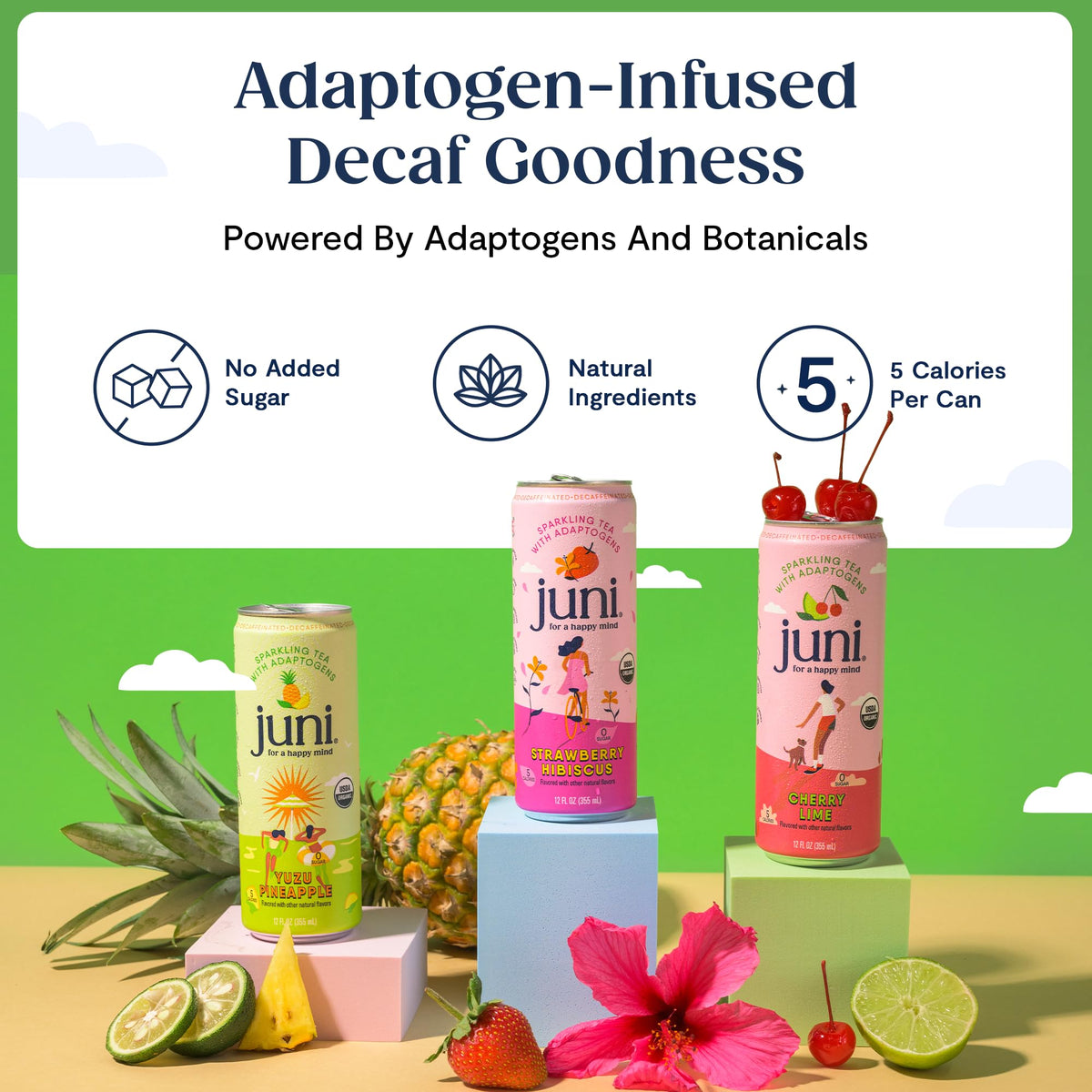 JUNI Sparkling Adaptogen Drink — Strawberry Hibiscus (Decaf, 0 Sugar, 5 Calories) 12-Pack