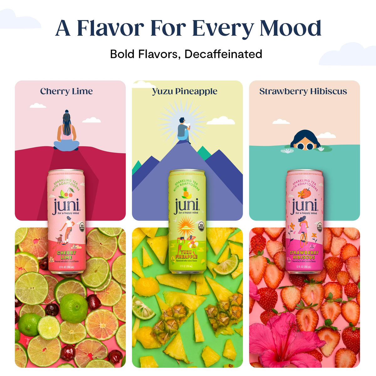 JUNI Sparkling Adaptogen Drink — Strawberry Hibiscus (Decaf, 0 Sugar, 5 Calories) 12-Pack