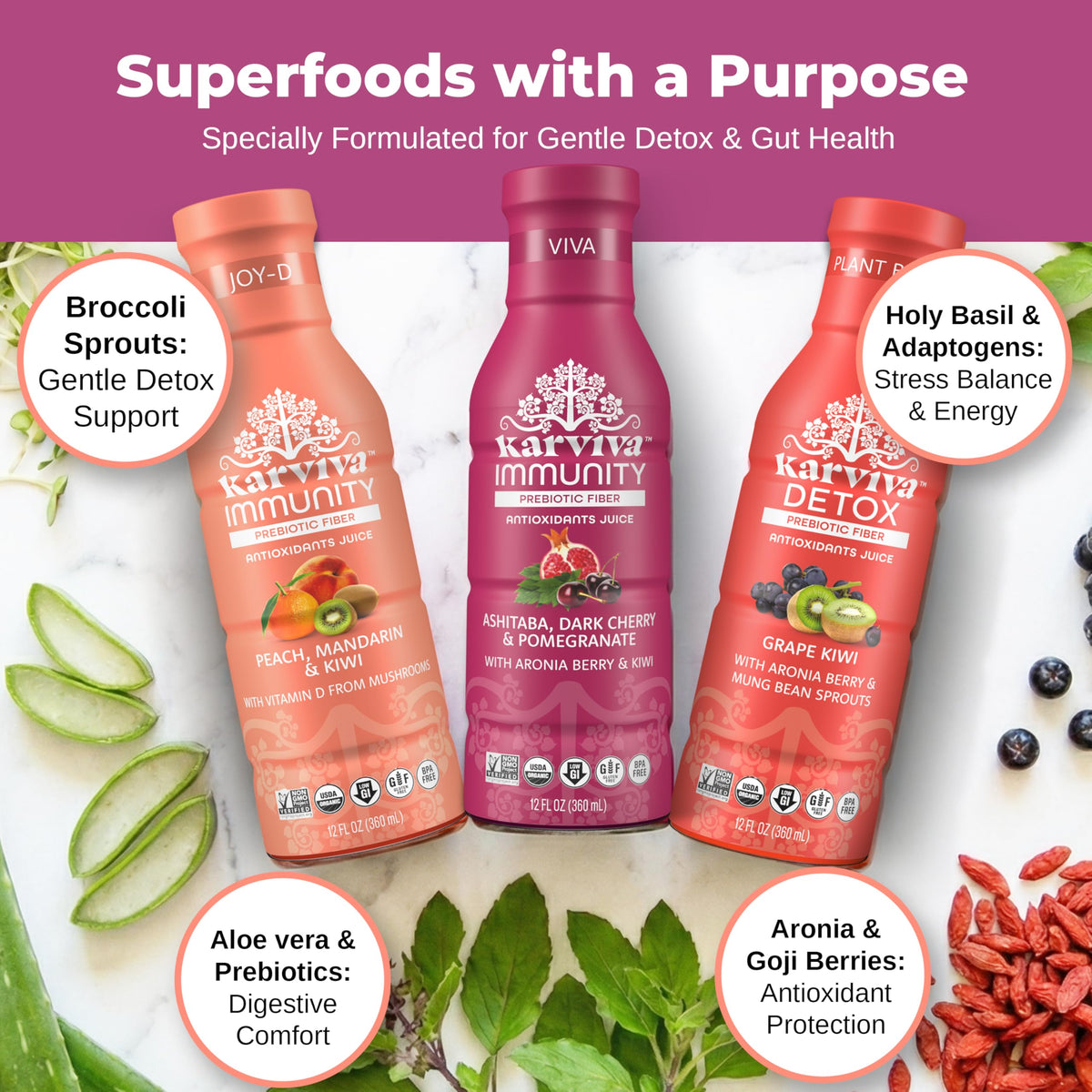 Karviva Organic Juice Cleanse Pack — Gentle 6-Bottle Detox