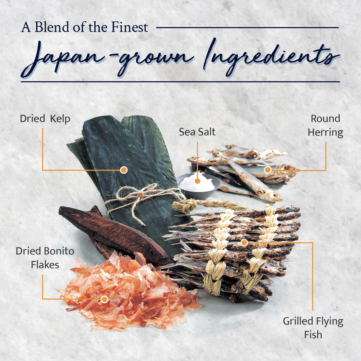 Kayanoya Dashi Original Dashi Stock Powder – Rich Umami for Miso, Soups & More (8g x12)