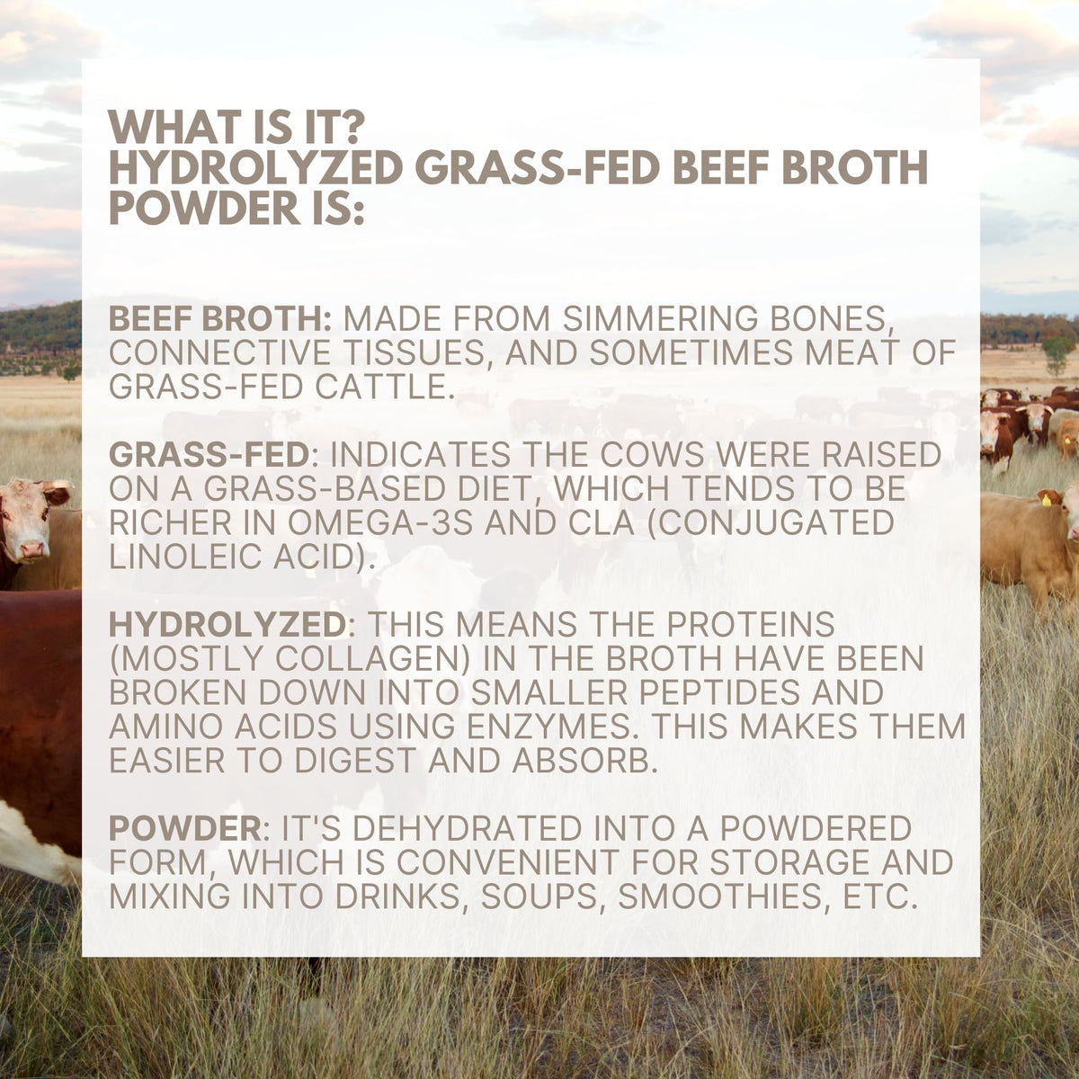 Ketostat Bone Broth Protein Powder Packets – Grass-Fed Beef, 12 Pack, 16g Protein per Packet