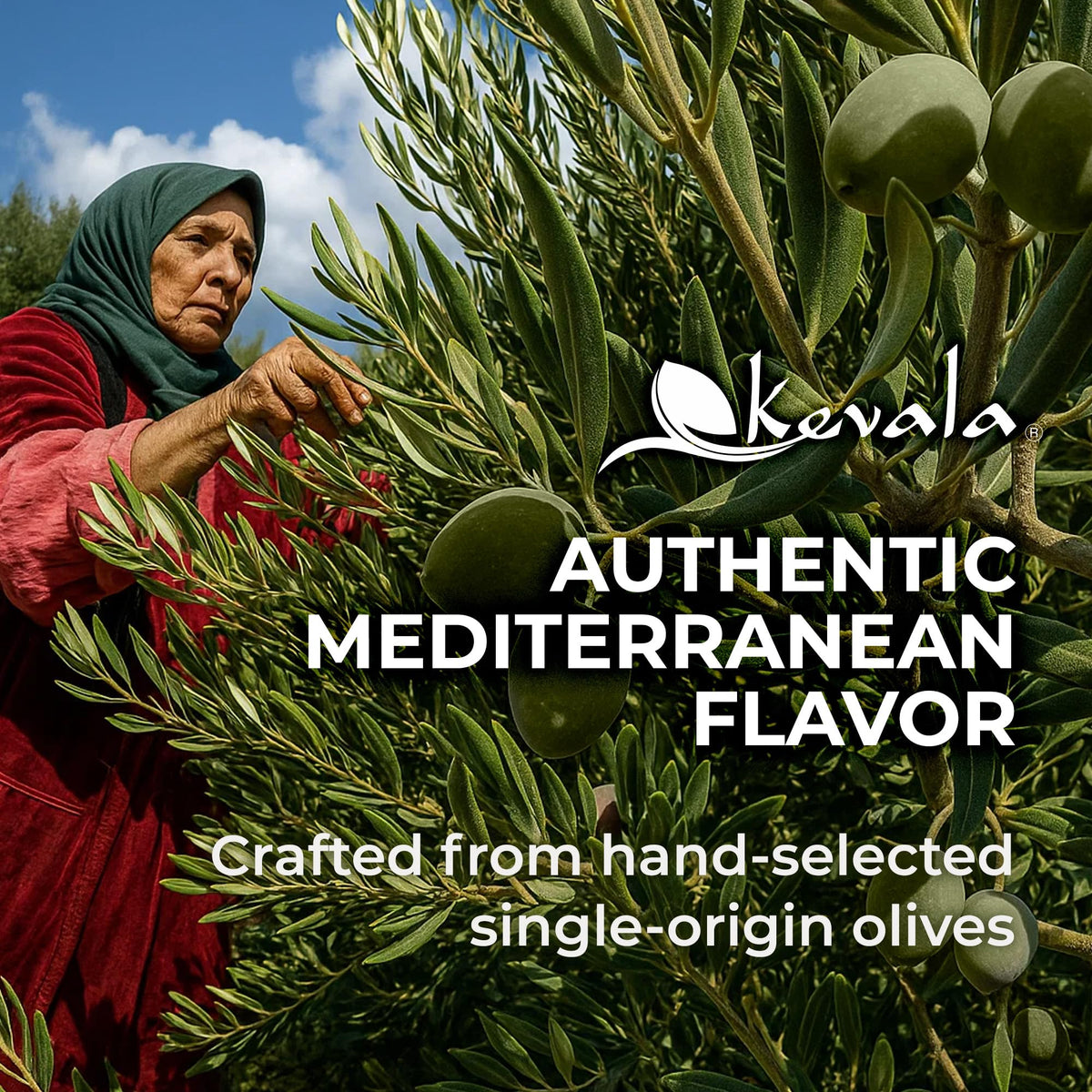 Kevala Extra Virgin Organic Olive Oil – Cold-Pressed, Unrefined, 64 oz | Kosher, Non-GMO