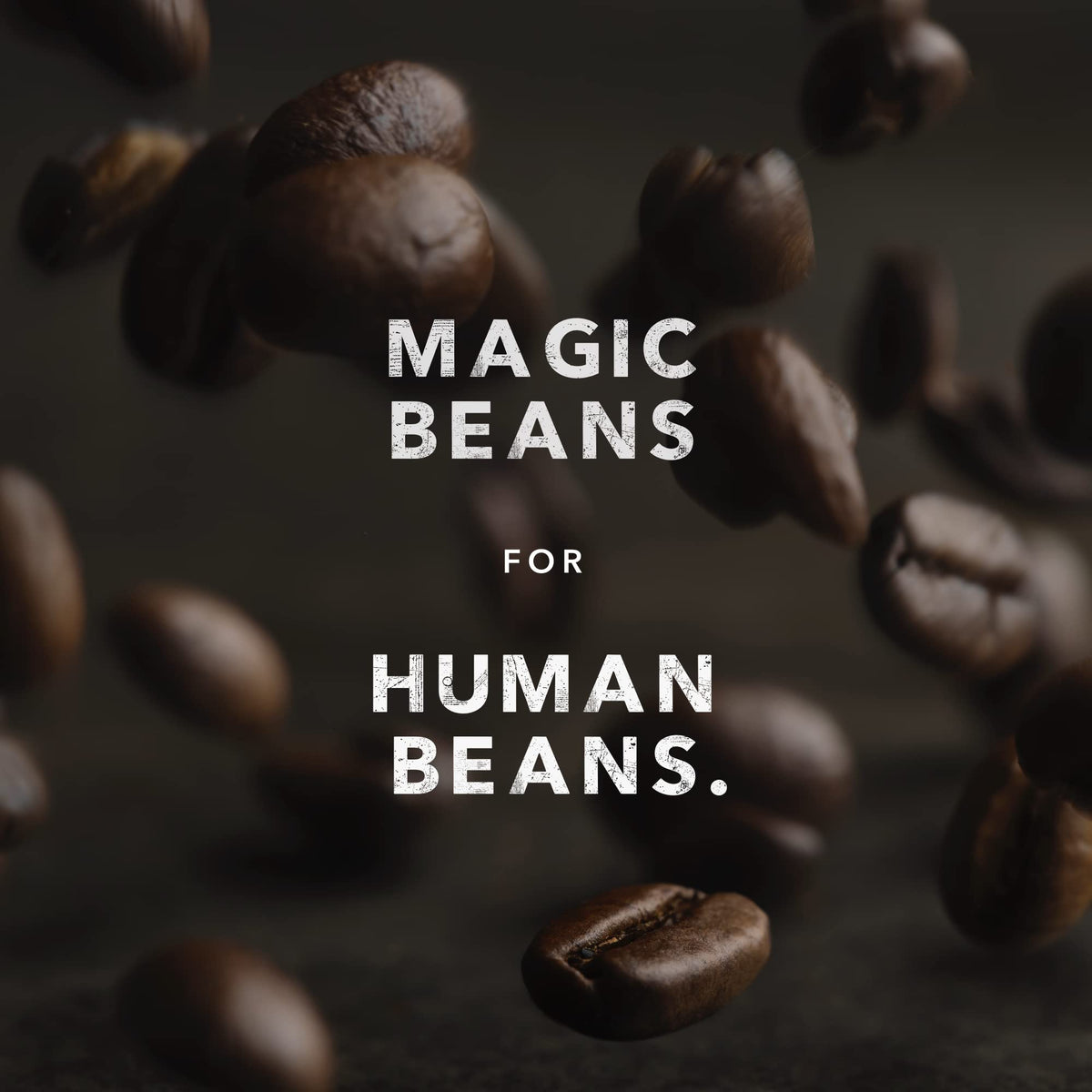 Kicking Horse Three Sisters Medium Roast Ground Coffee – Organic, Fairtrade, Kosher (10 oz) – Pack of 6