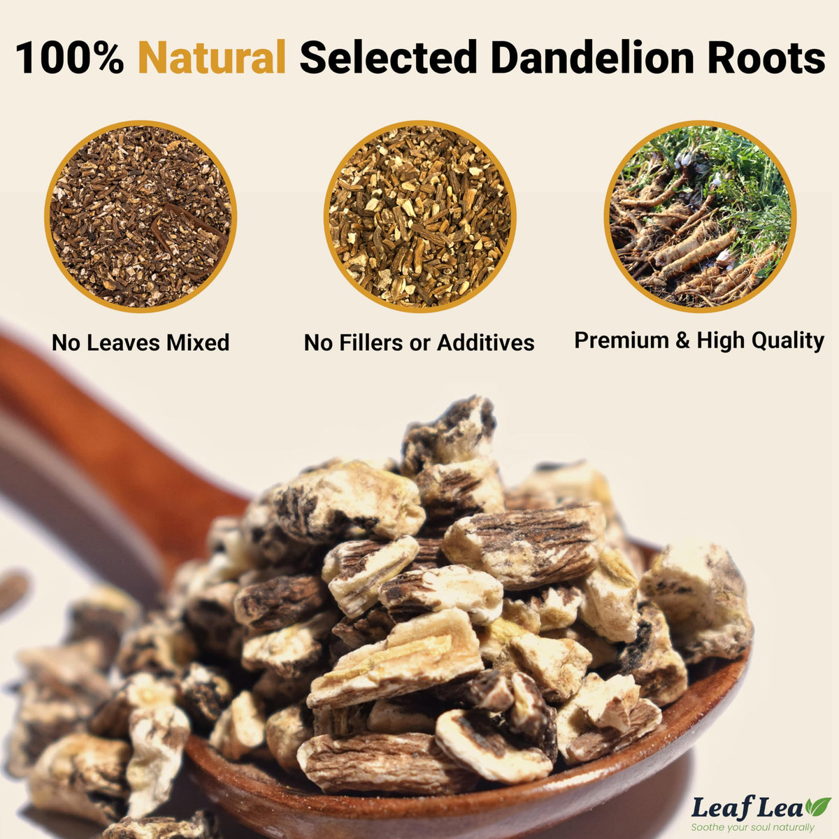 LeafLea Dandelion Root Tea Bags — Caffeine-Free Herbal Tea for Digestive Wellness | Pack of 3