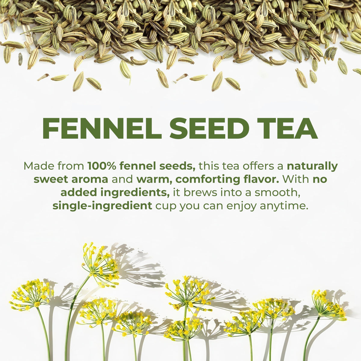 LeafLea 80 Premium Fennel Tea Bags — Pure Dried Fennel Seed Tea for Daily Ease