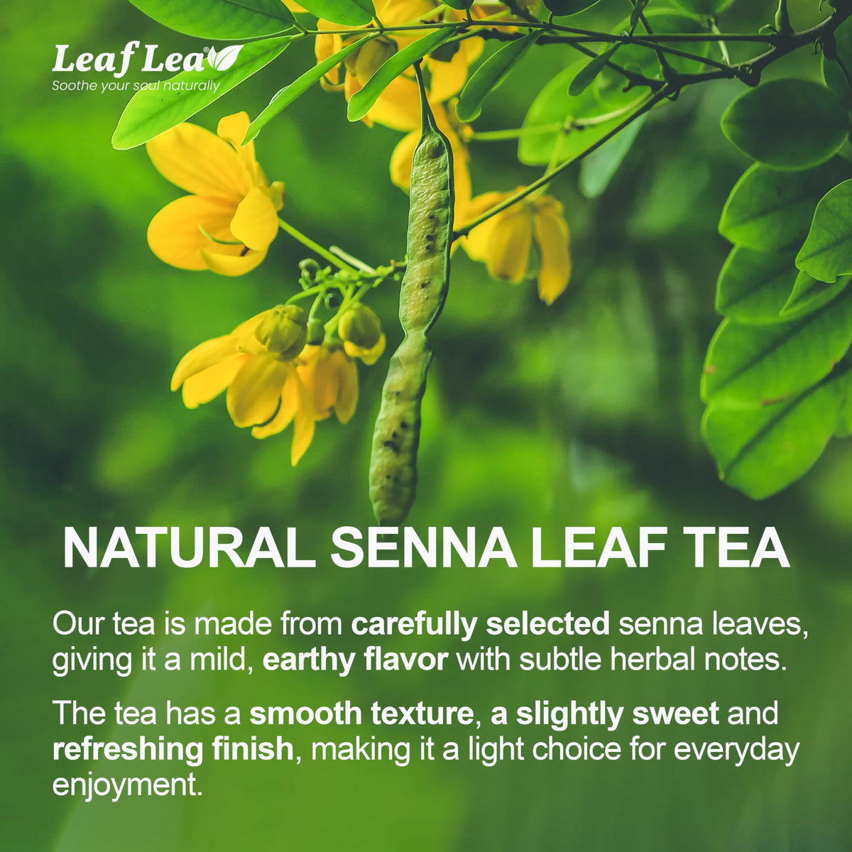 LeafLea 120 Senna Tea Bags – Pure Senna Herbal Tea for Gentle Digestive Support
