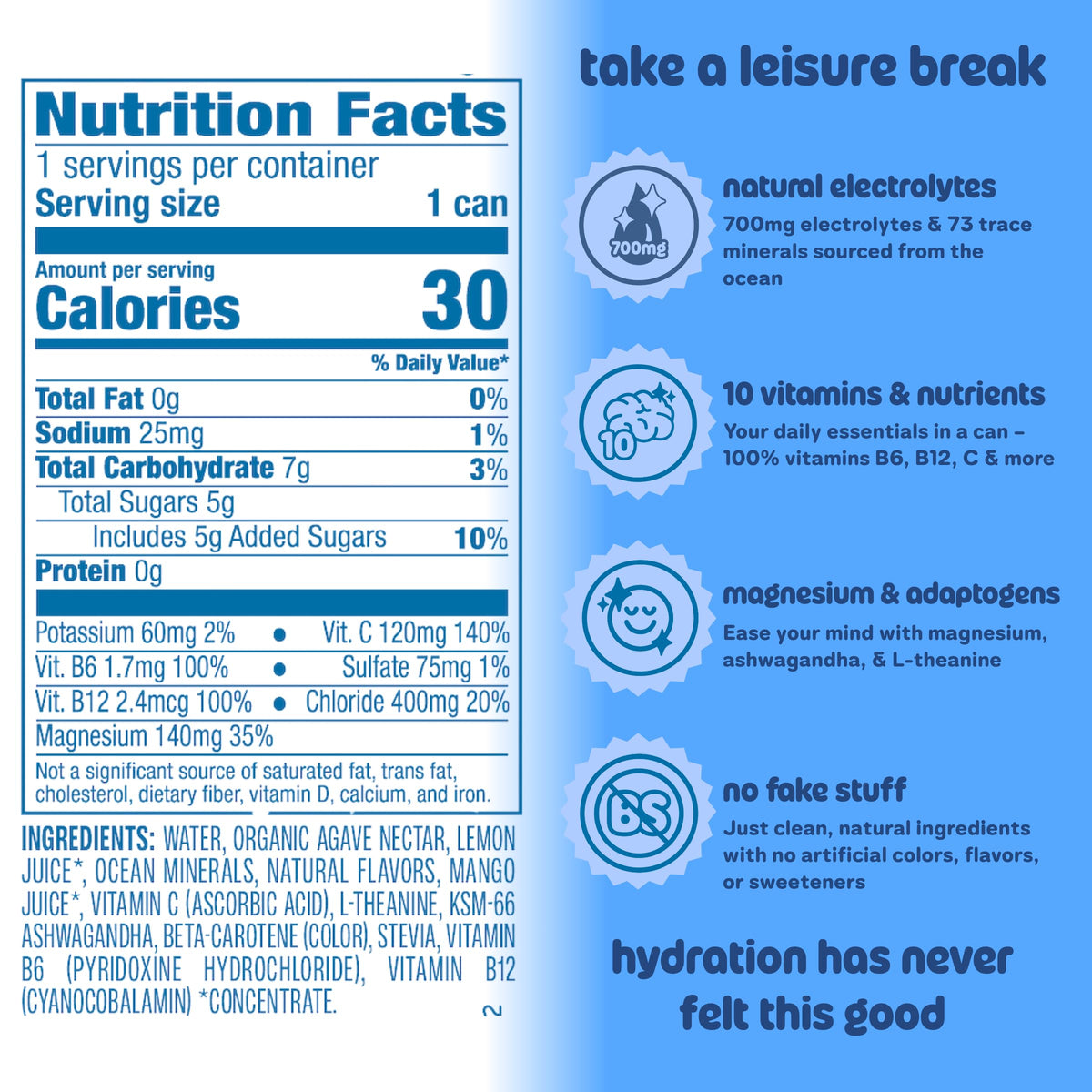 Leisure Hydration Non-Carbonated Electrolyte Refresher — Wild Blueberry, Low Sugar, Magnesium & Ashwagandha — 16 oz, 12-Can Pack