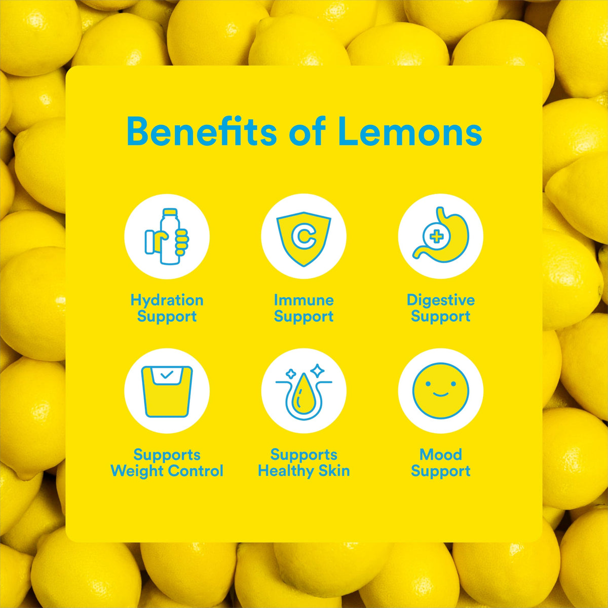 Lemon Perfect 4-Flavor Variety Pack | Zero Sugar Lemon Water, 12 x 15.2 oz Bottles