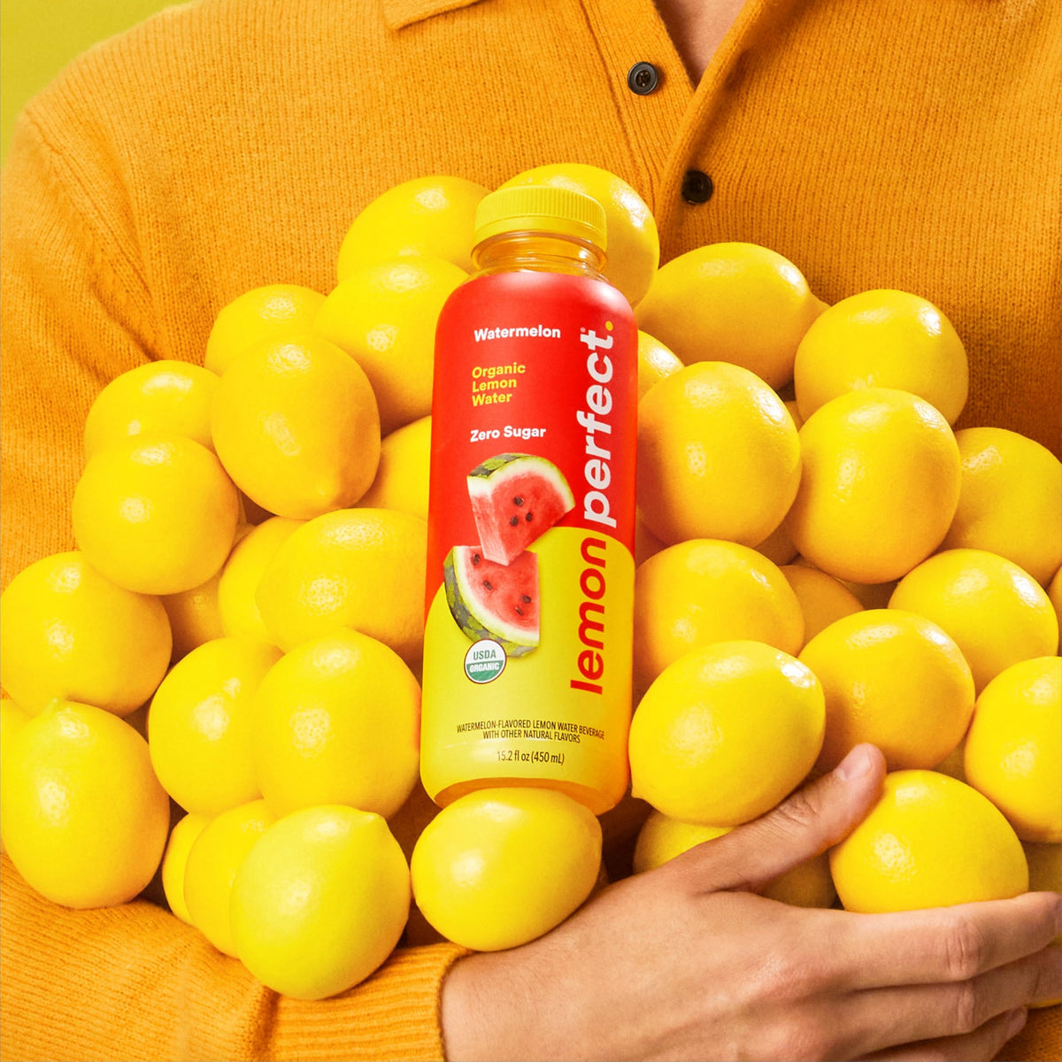 LEMON PERFECT Watermelon – Hydrating Flavored Water, Zero Sugar, Organic, 15.2 fl oz Bottles (12-Pack)