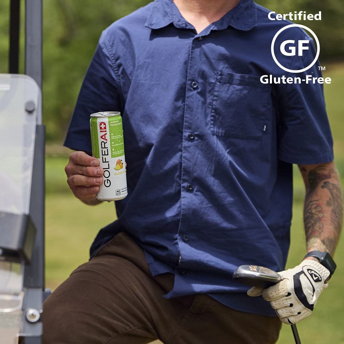 GOLFERAID Performance Blend by LIFEAID — No Caffeine, 12-Can Pack, 40 Calories