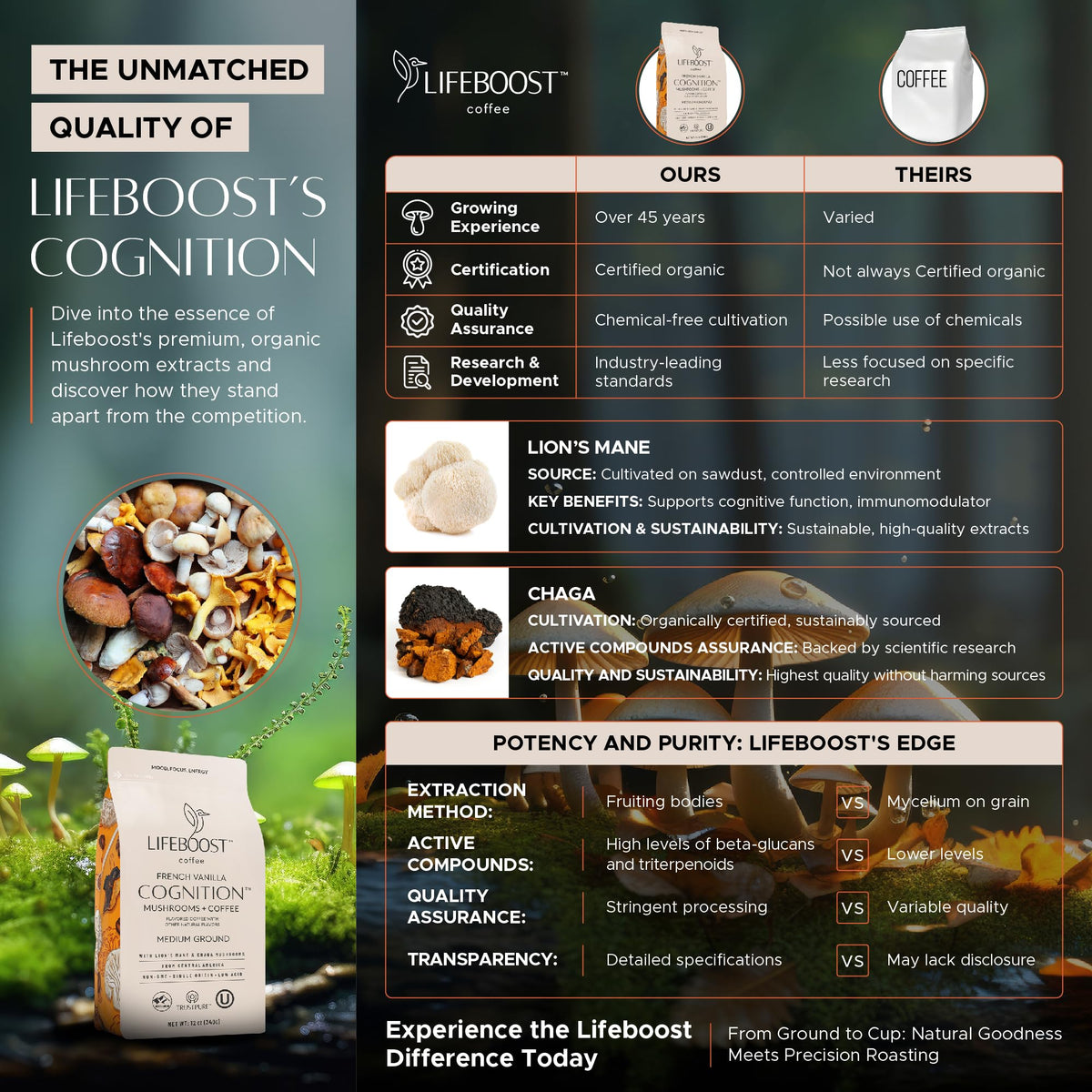 Lifeboost French Vanilla Cognition Mushroom Coffee – Low Acid, Lion’s Mane & Chaga, 12 oz Ground