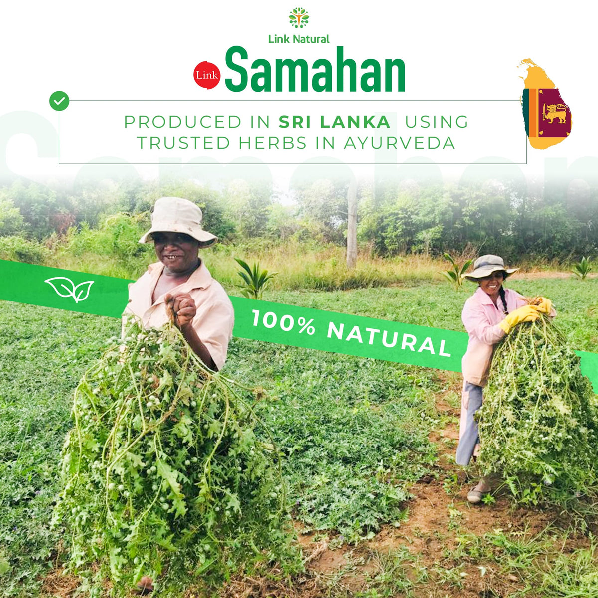 LINK SAMAHAN Ayurvedic Herbal Tea Packets – 14-Herb Sri Lankan Ceylon Blend, 100 Count