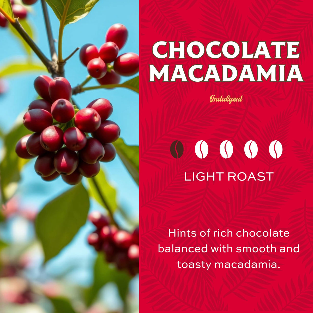 Lion Coffee Chocolate Macadamia Flavored Ground Coffee – Light Roast, 24oz