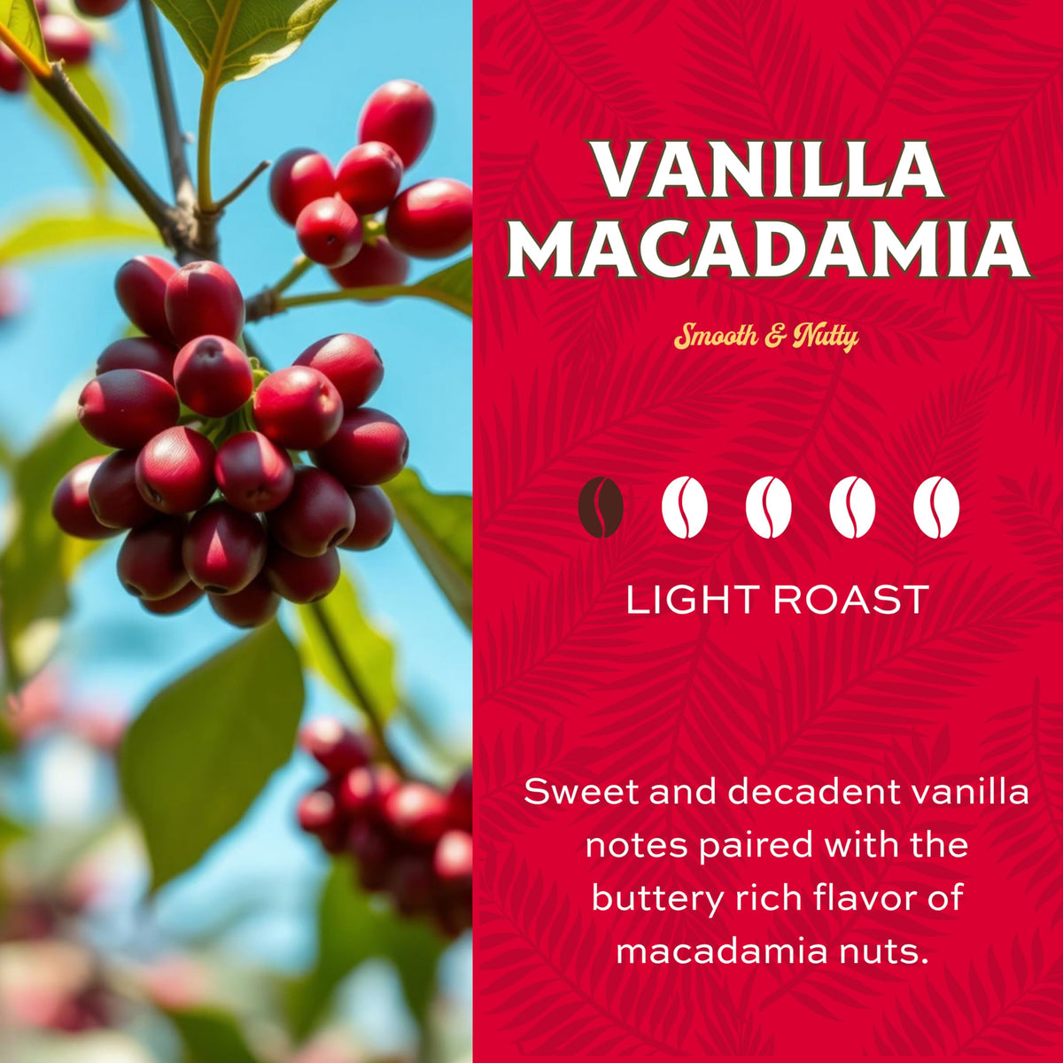 Lion Coffee Vanilla Macadamia Flavored Ground Coffee – Light Roast, Hawaiian Inspired (24 oz)