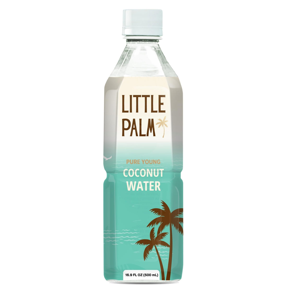Little Palm Pure Coconut Water – From Young Coconuts, No Sugar Added, Natural Hydration, Electrolytes, 16.9 fl oz (12-Pack)