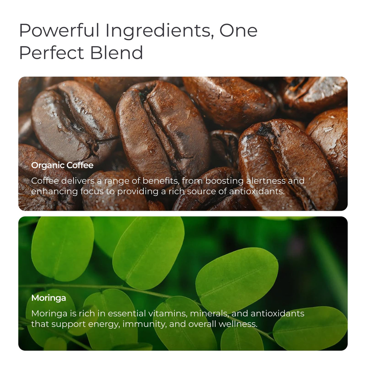 Livingood Daily Coffee with Moringa – Organic Medium Roast Whole Bean, 20 Servings