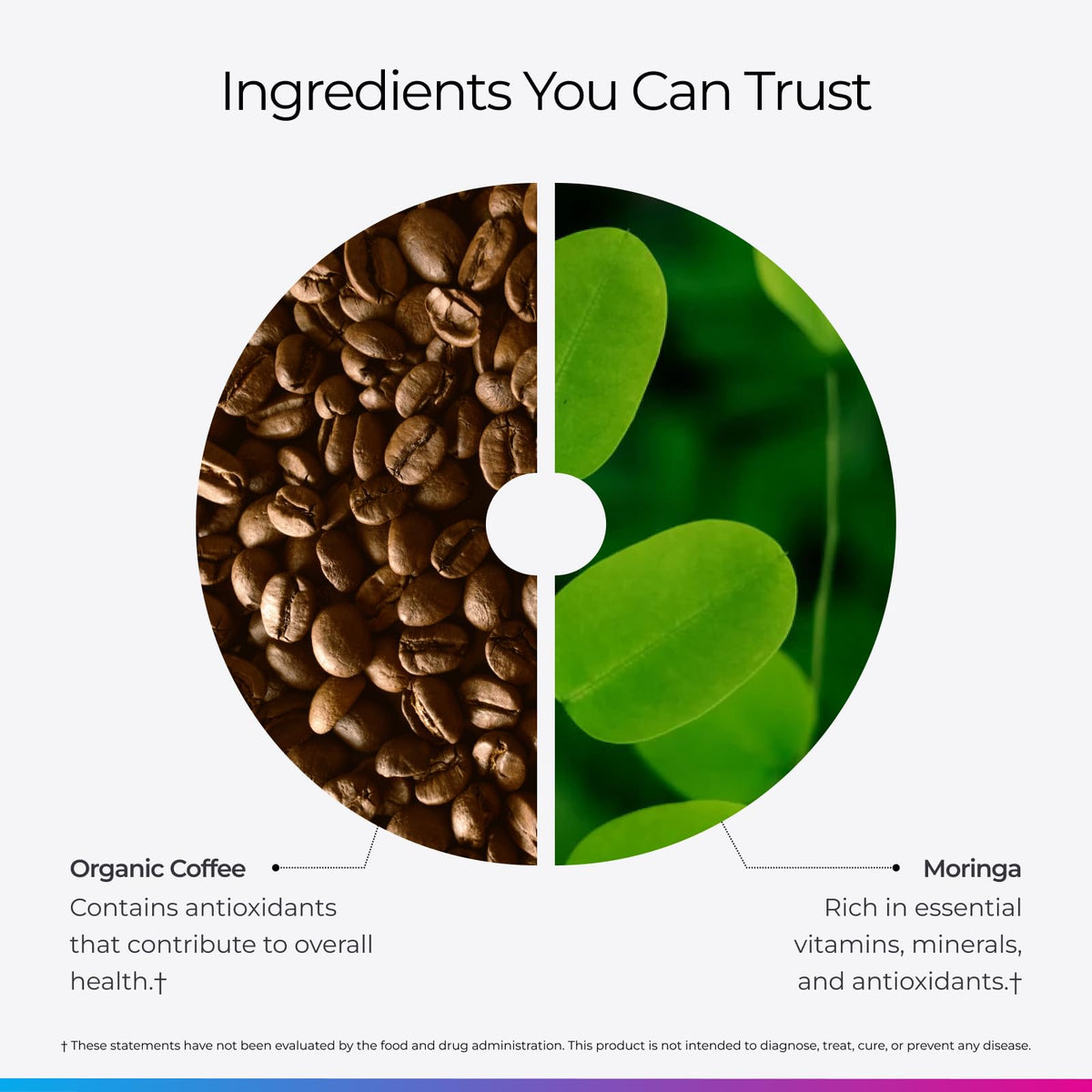 Livingood Daily Coffee with Moringa – Ground Medium Roast, 12oz, Organic & Vegan