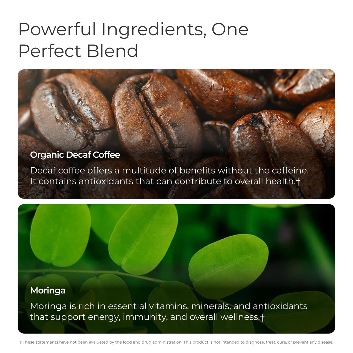 Livingood Daily Coffee with Moringa – Decaf Ground Coffee for Daily Wellness | 20 Servings