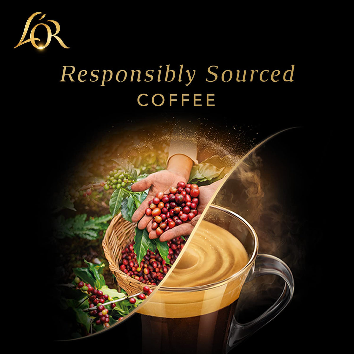 L'OR DECAF Espresso Capsules 50 Count – Ristretto Decaf, Aluminum, Compatible with L'OR BARISTA & Nespresso Original