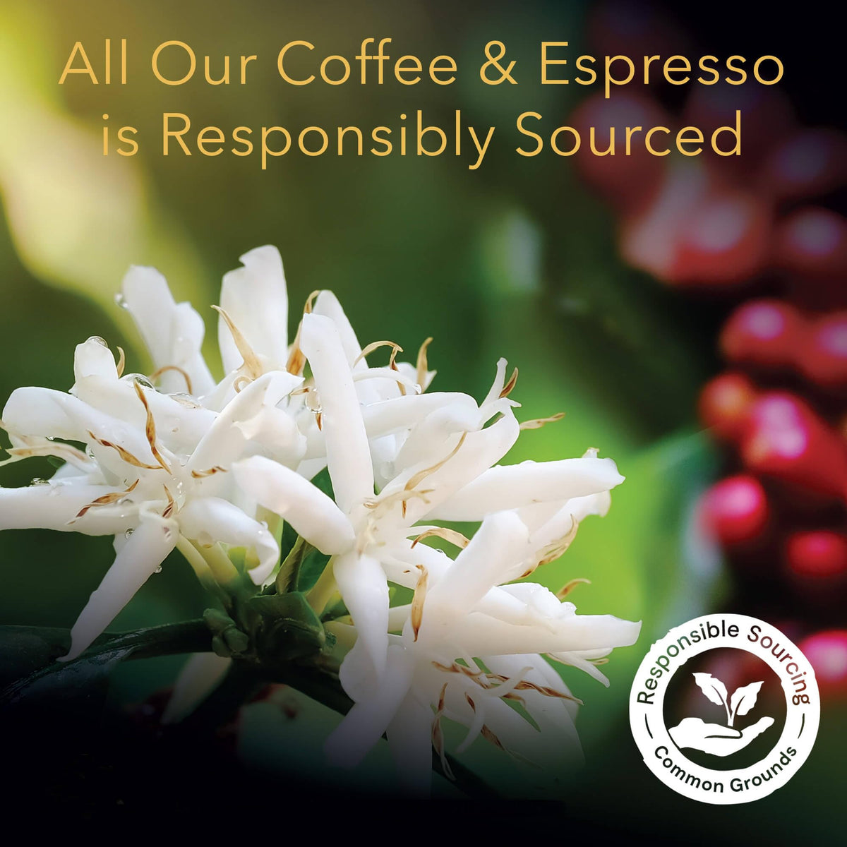 L'OR Espresso Capsules Colombia, 100 Count – Compatible with L'OR BARISTA & Nespresso Original