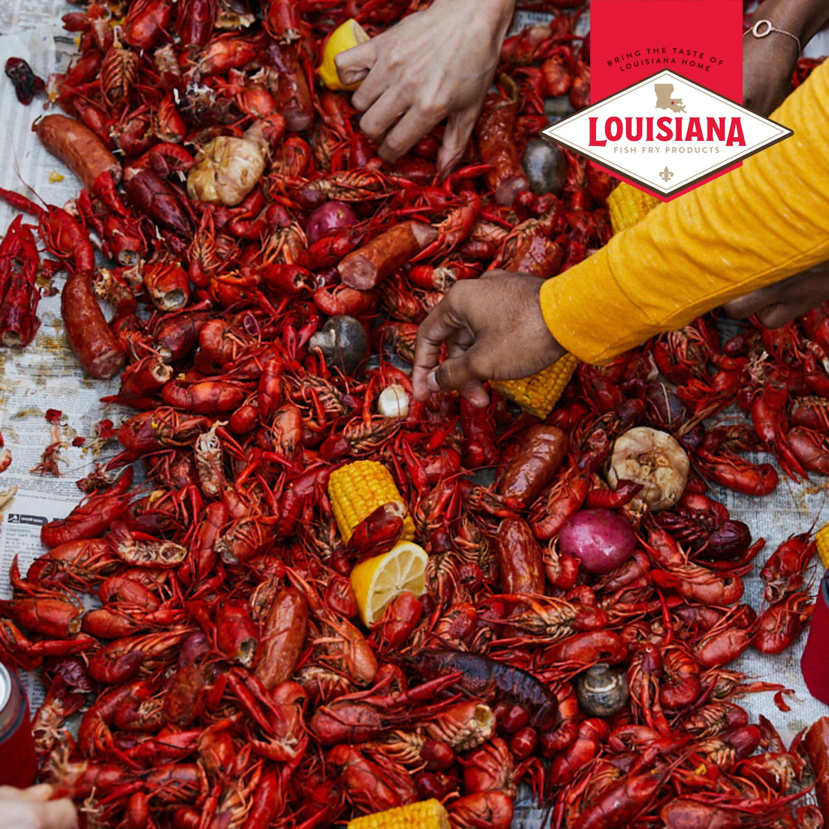 Louisiana Fish Fry Crawfish, Shrimp & Crab Boil Seasoning – Spicy, Low-Salt Cajun Blend (4.5 lb Pack of 2)