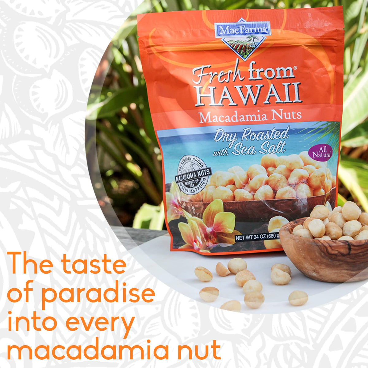 MacFarms Macadamia Nuts – Dry Roasted with Sea Salt, 24 OZ (1 Pack), Hawaii Grown