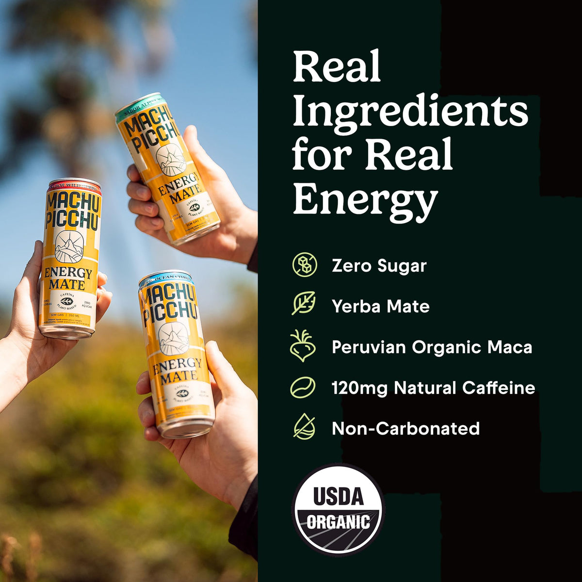 MACHU PICCHU 12-Pack Wild Berry Energy Mate: Zero Sugar, 120mg Organic Caffeine, Non-Carbonated