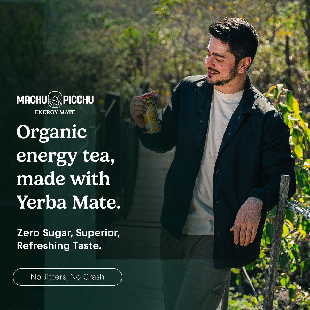 MACHU PICCHU 12-Pack Zero Sugar Yerba Mate Energy Drink – 120mg Organic Caffeine, Non-Carbonated, 12oz