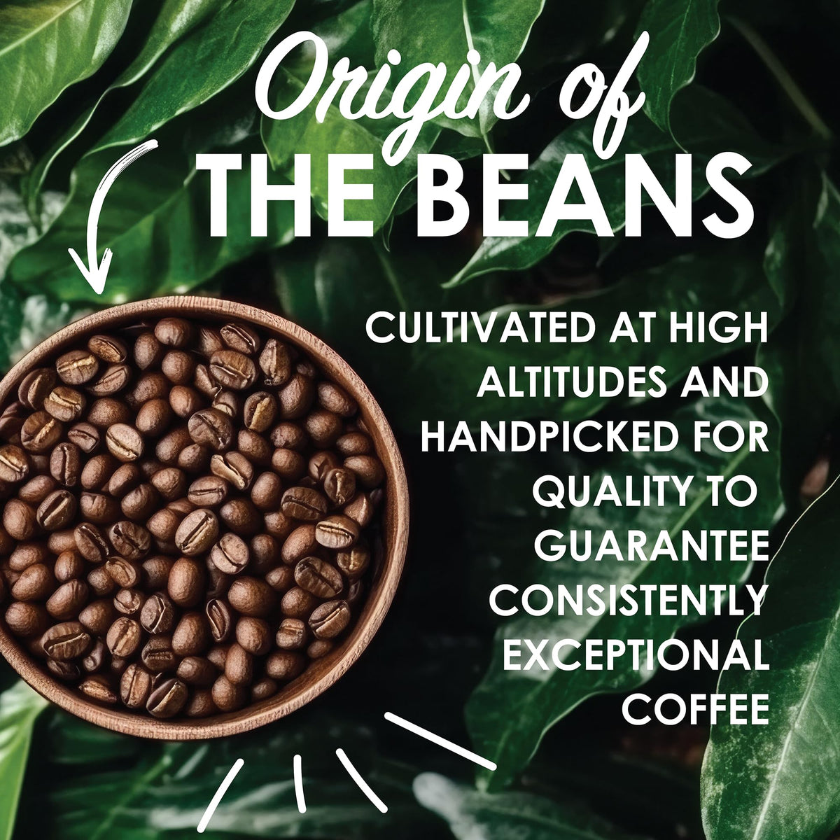 Magnum Exotics Coffee - Blue Mountain Blend, Medium-Light Roast, 2 lb Whole Bean