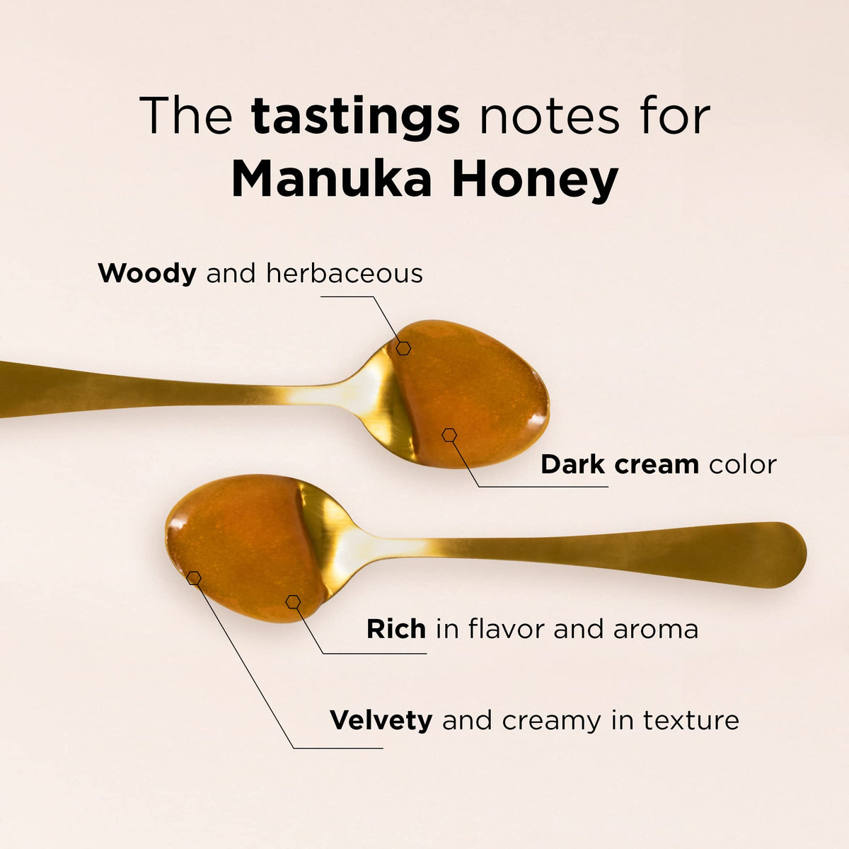 Manuka Doctor MGO 1125+ Monofloral Honey – 8.75 oz, Pure NZ Raw Non-GMO