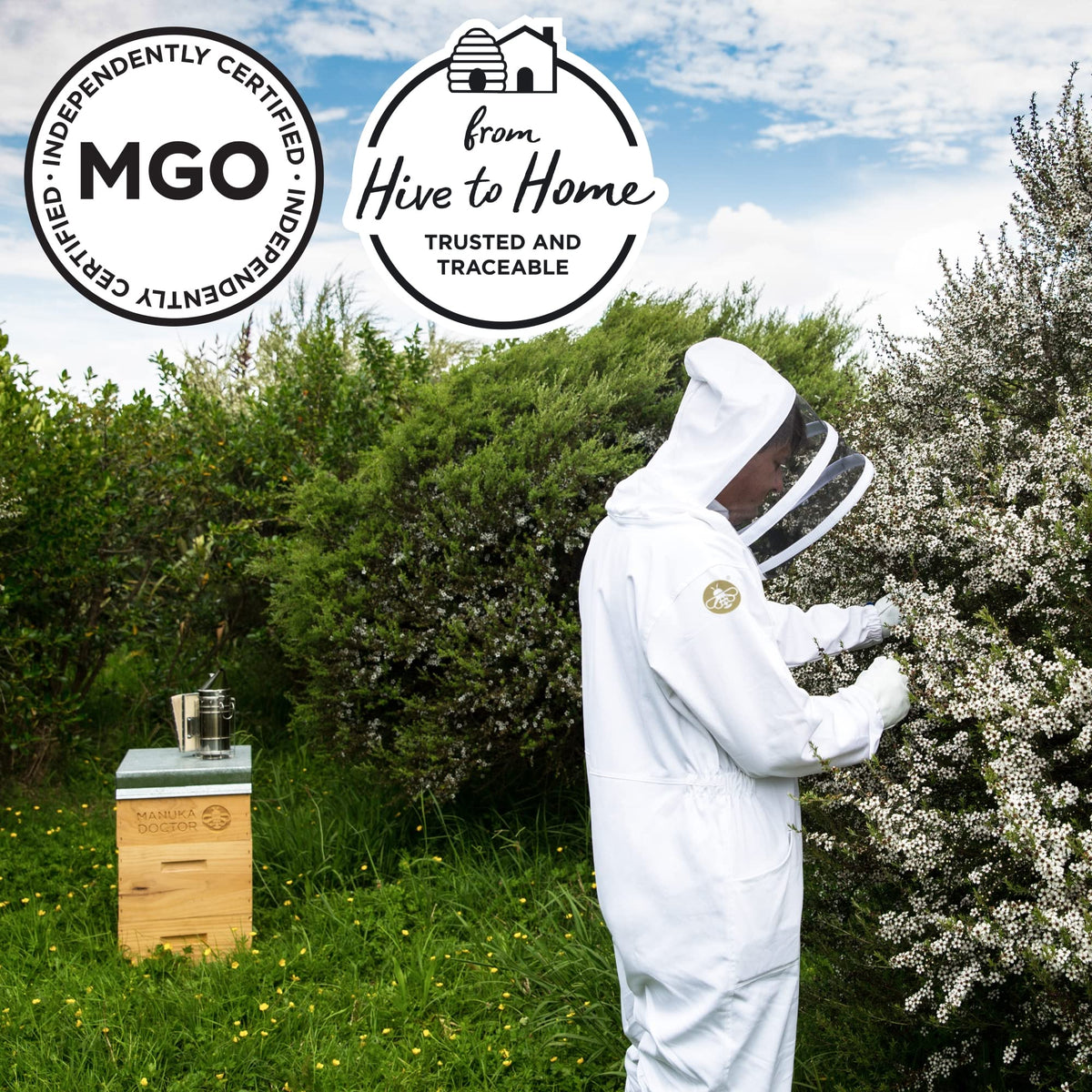 Manuka Doctor MGO 1125+ Monofloral Honey – 8.75 oz, Pure NZ Raw Non-GMO