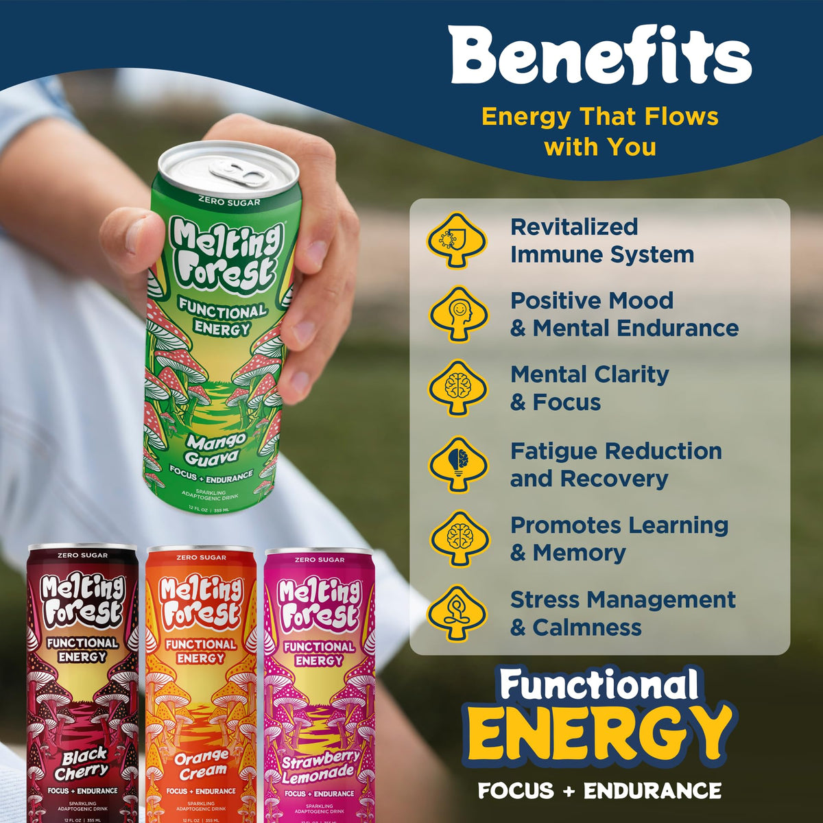 Melting Forest Functional Mushroom Energy Drink - 12 Pack Variety with Cordyceps & Lion's Mane