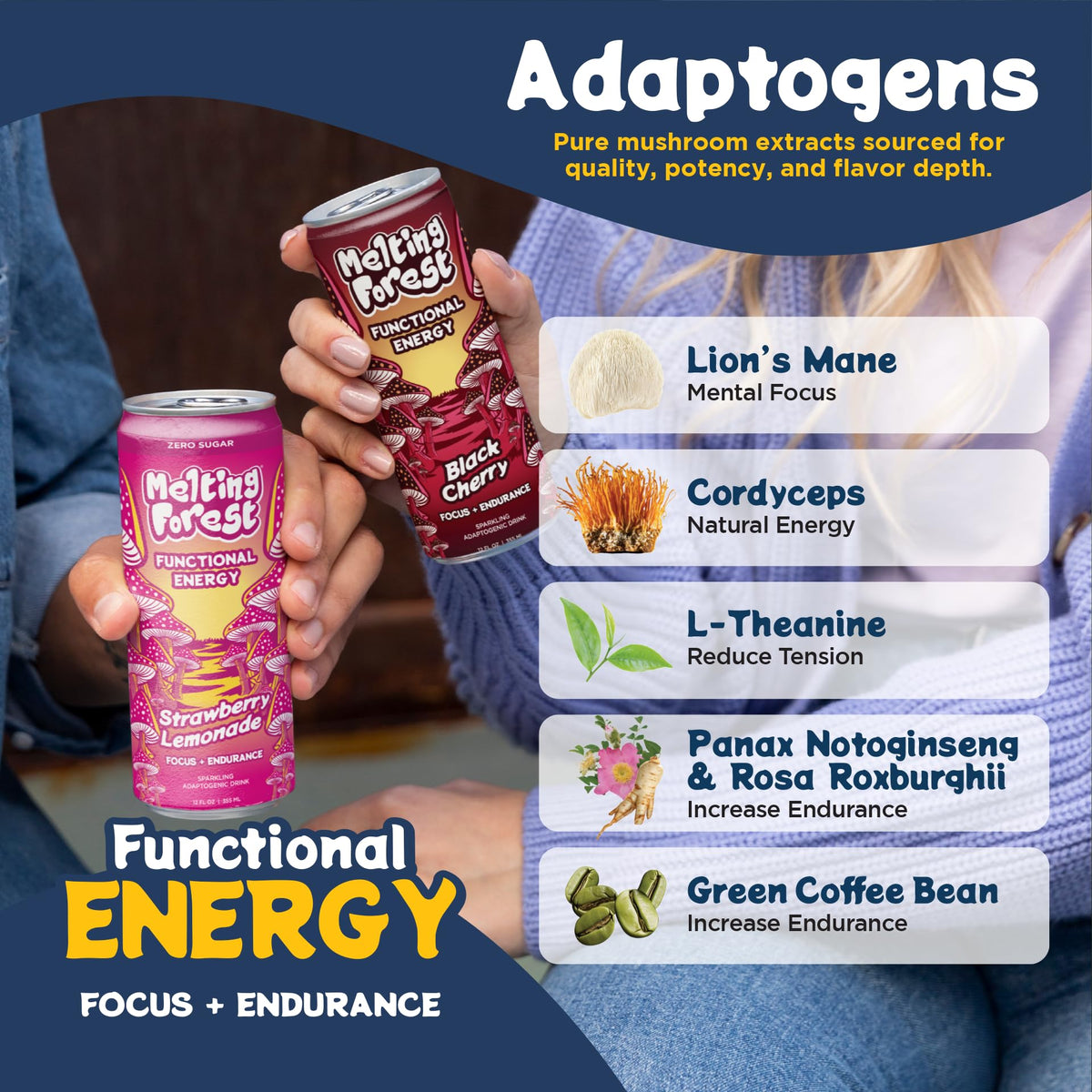 Melting Forest Functional Mushroom Energy Drink - 12 Pack Variety with Cordyceps & Lion's Mane