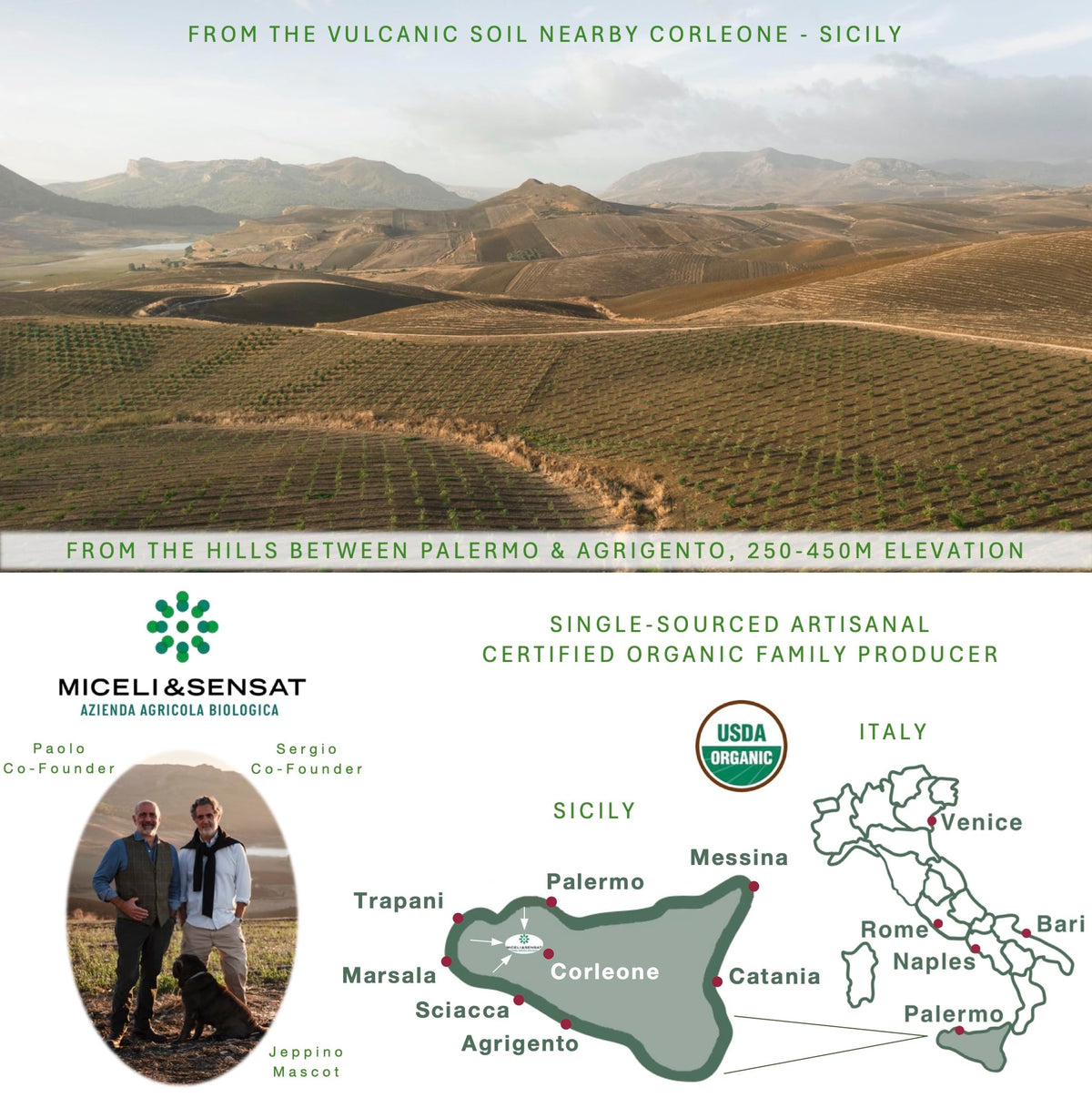MICELI&SENSAT Fruity Medium Organic Olive Oil — 500+ mg/kg Polyphenols, Sicilian IGP, 2025 NYIOOC Gold, Cold Pressed (16.9 fl oz)