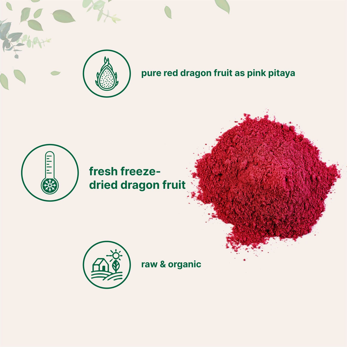 Micro Ingredients Organic Dragon Fruit Powder, 10oz | Freeze-Dried Pink Pitaya, No Sugar, Non-GMO, Vegan