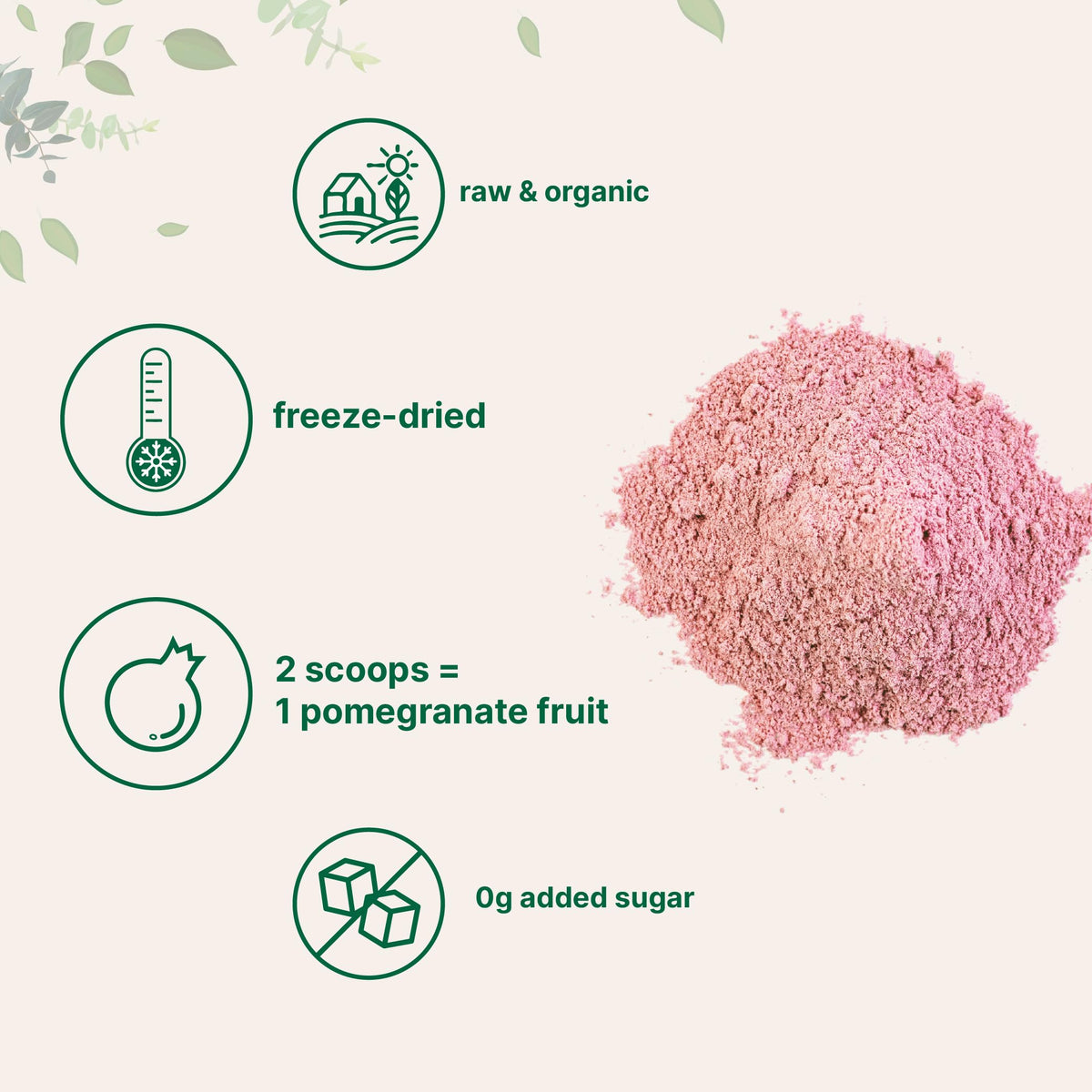 Micro Ingredients Organic Pomegranate Juice Powder — 1 lb, Freeze-Dried & Cold-Pressed