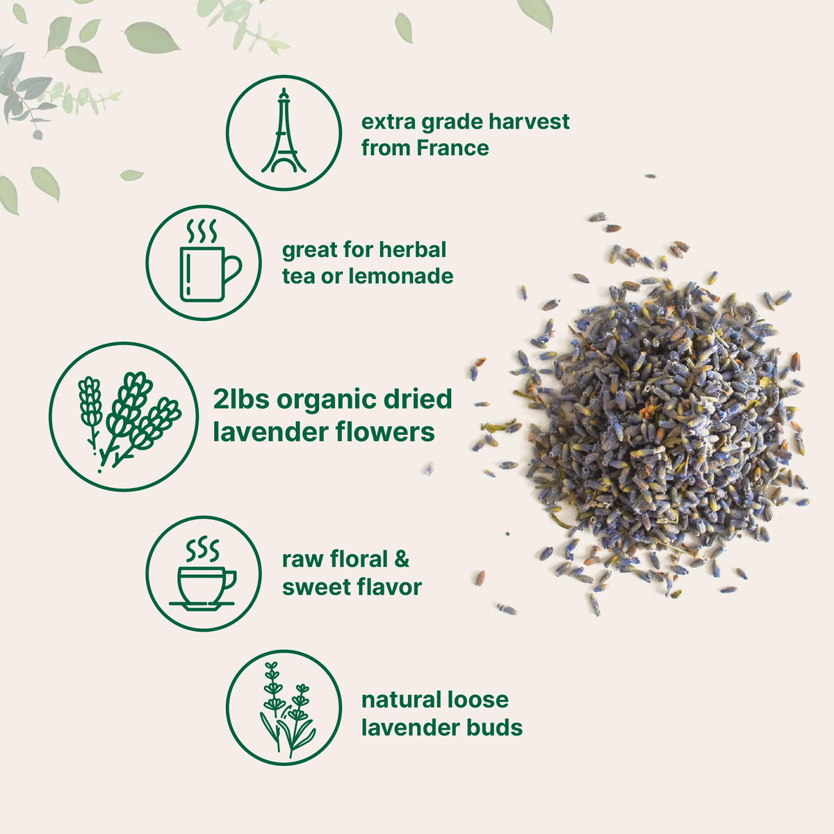 Organic Dried Lavender Flowers 2lbs | Micro Ingredients, France-Sourced, Non-GMO