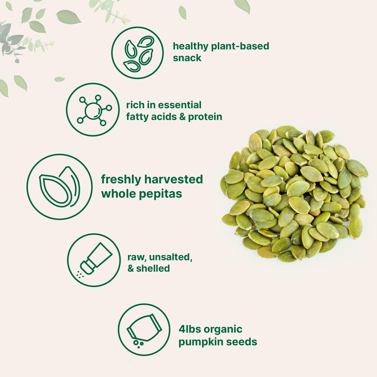 Micro Ingredients Organic Pumpkin Seeds, 4lb | Raw, Shelled Pepitas for Baking, Smoothies & Salads