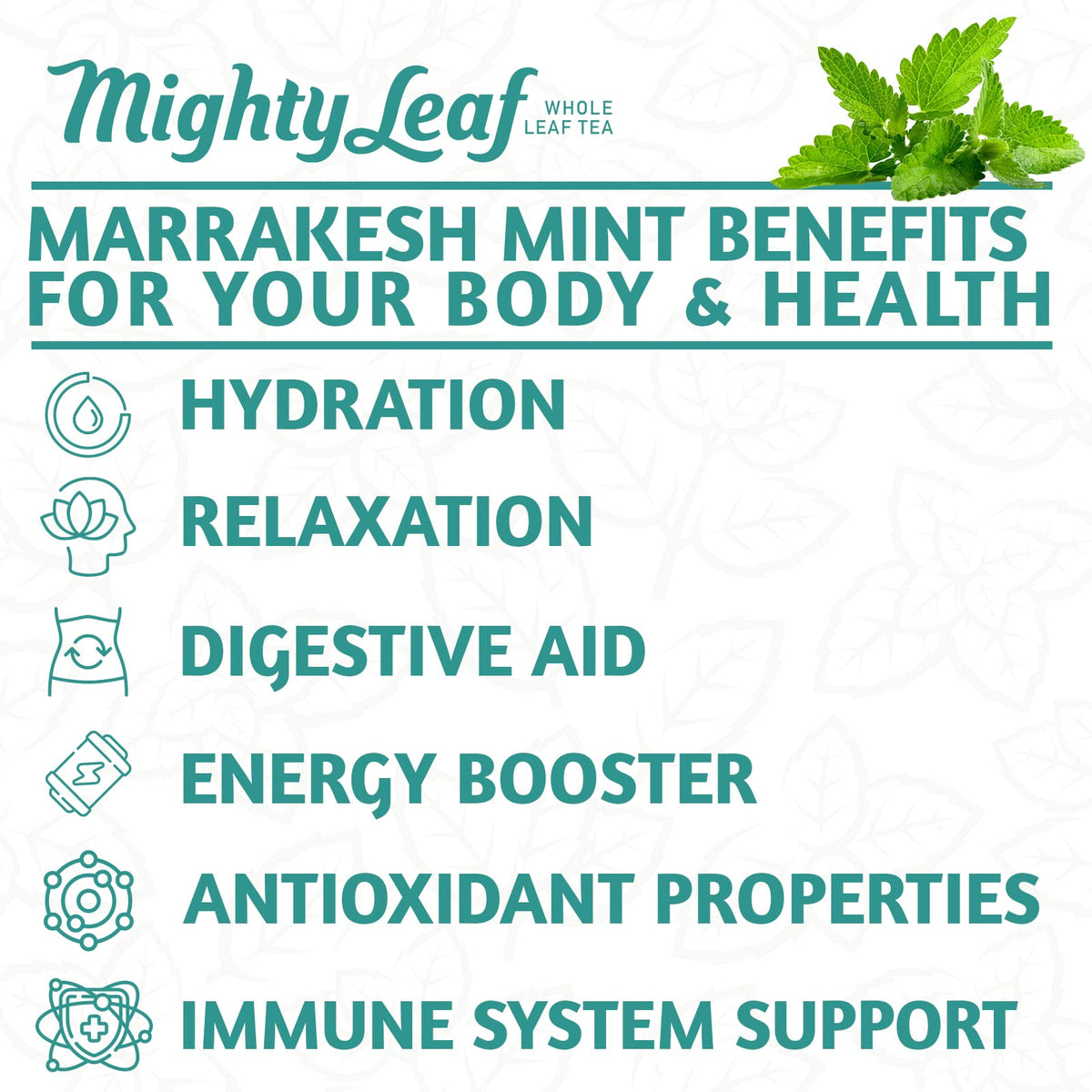 Mighty Leaf Marrakesh Mint Tea – 100 Silken Pouches Foil-Wrapped