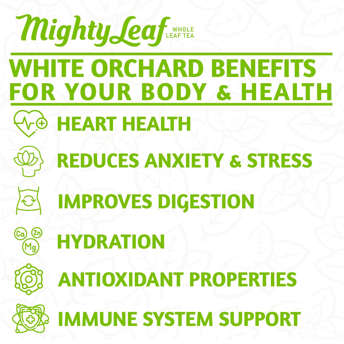 Mighty Leaf White Orchard White Tea – 100 Silken Tea Pouches