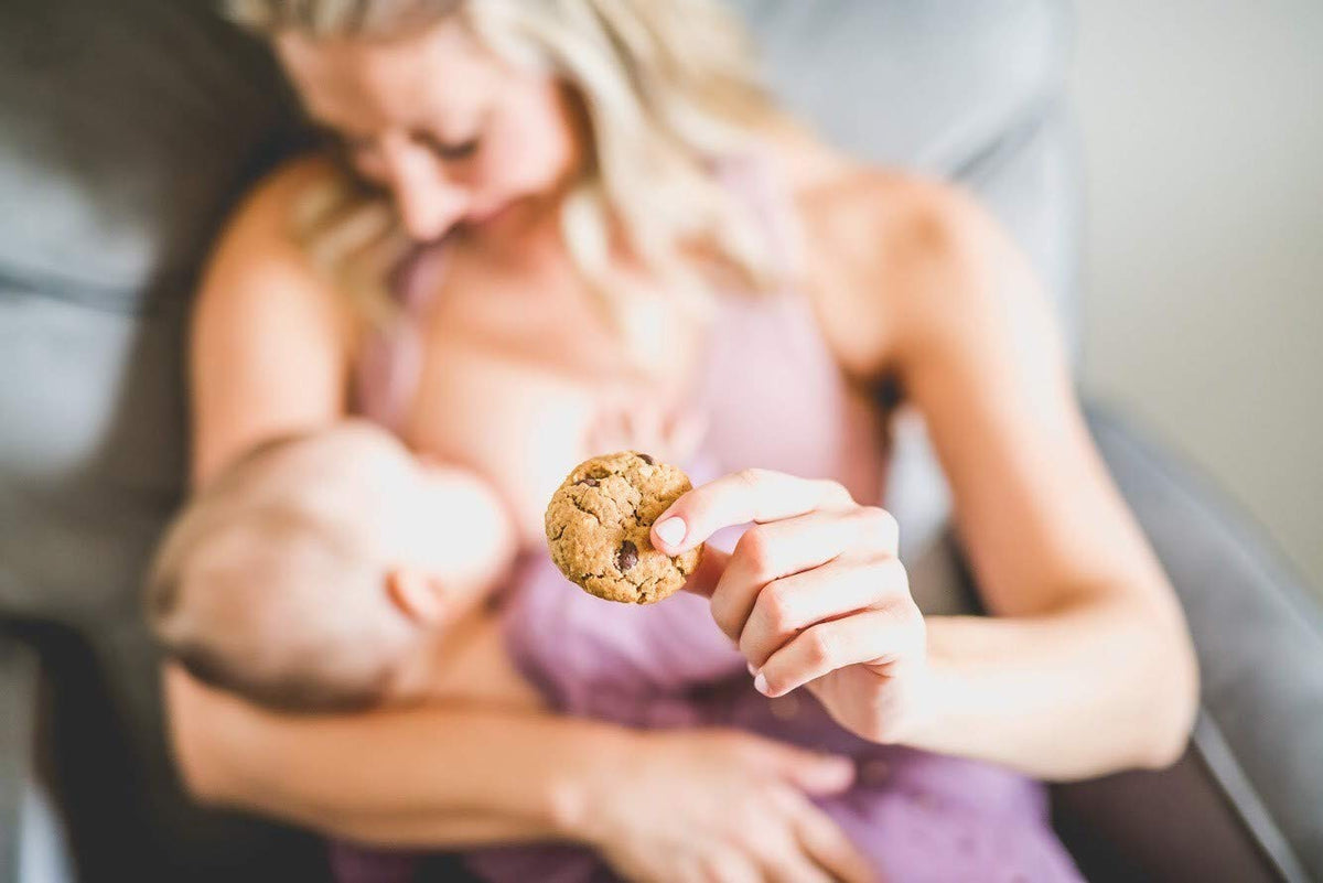 MilkBliss Dark Chocolate Chip Oatmeal Lactation Cookies – 12 oz