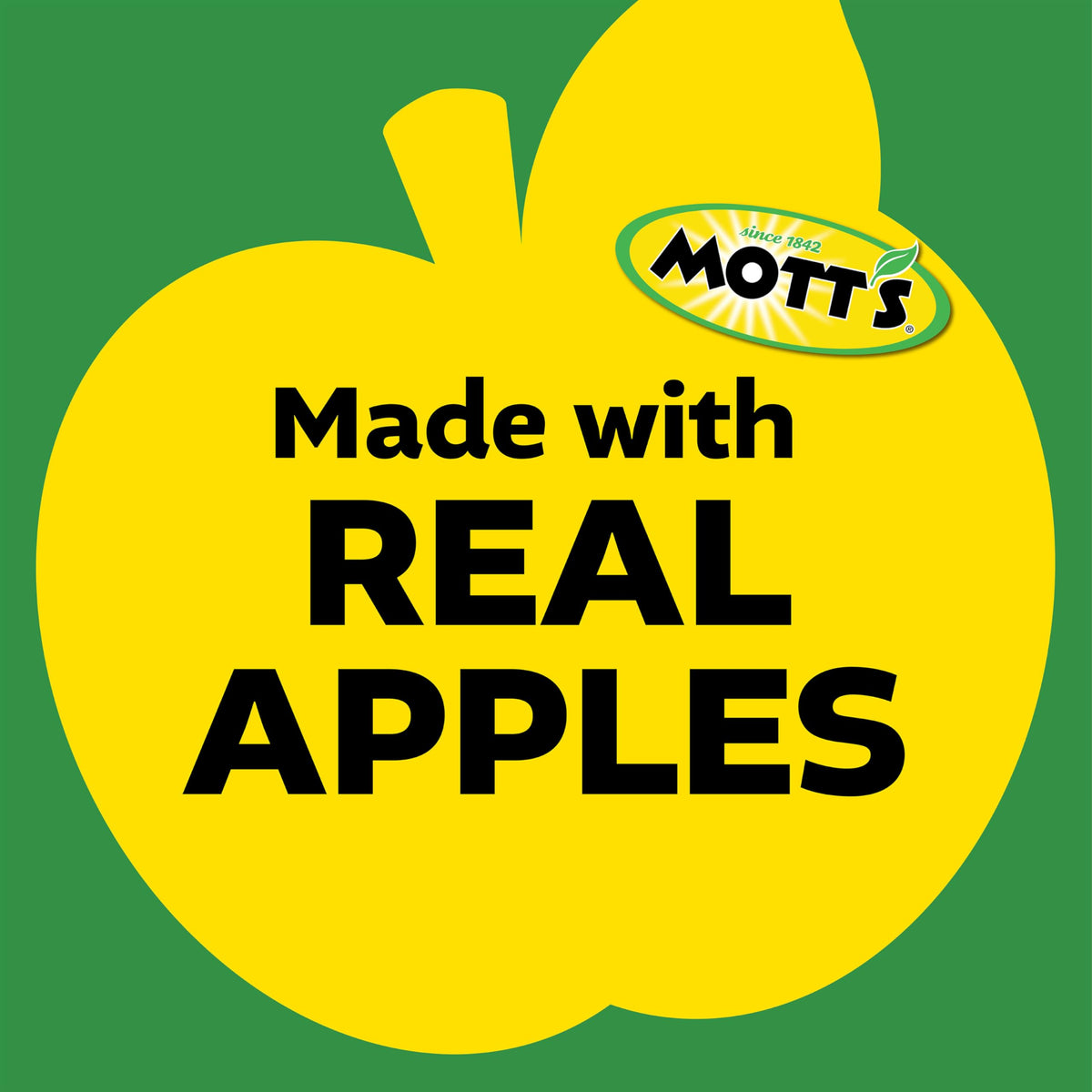 Mott's Cinnamon Applesauce 3.2 oz Clear Pouches — 48 Count (4 Packs of 12) No Artificial Flavors