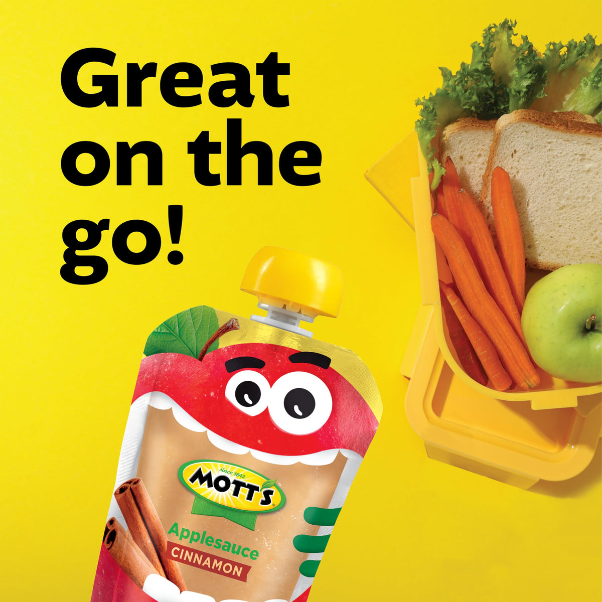 Mott's Cinnamon Applesauce 3.2 oz Clear Pouches — 48 Count (4 Packs of 12) No Artificial Flavors