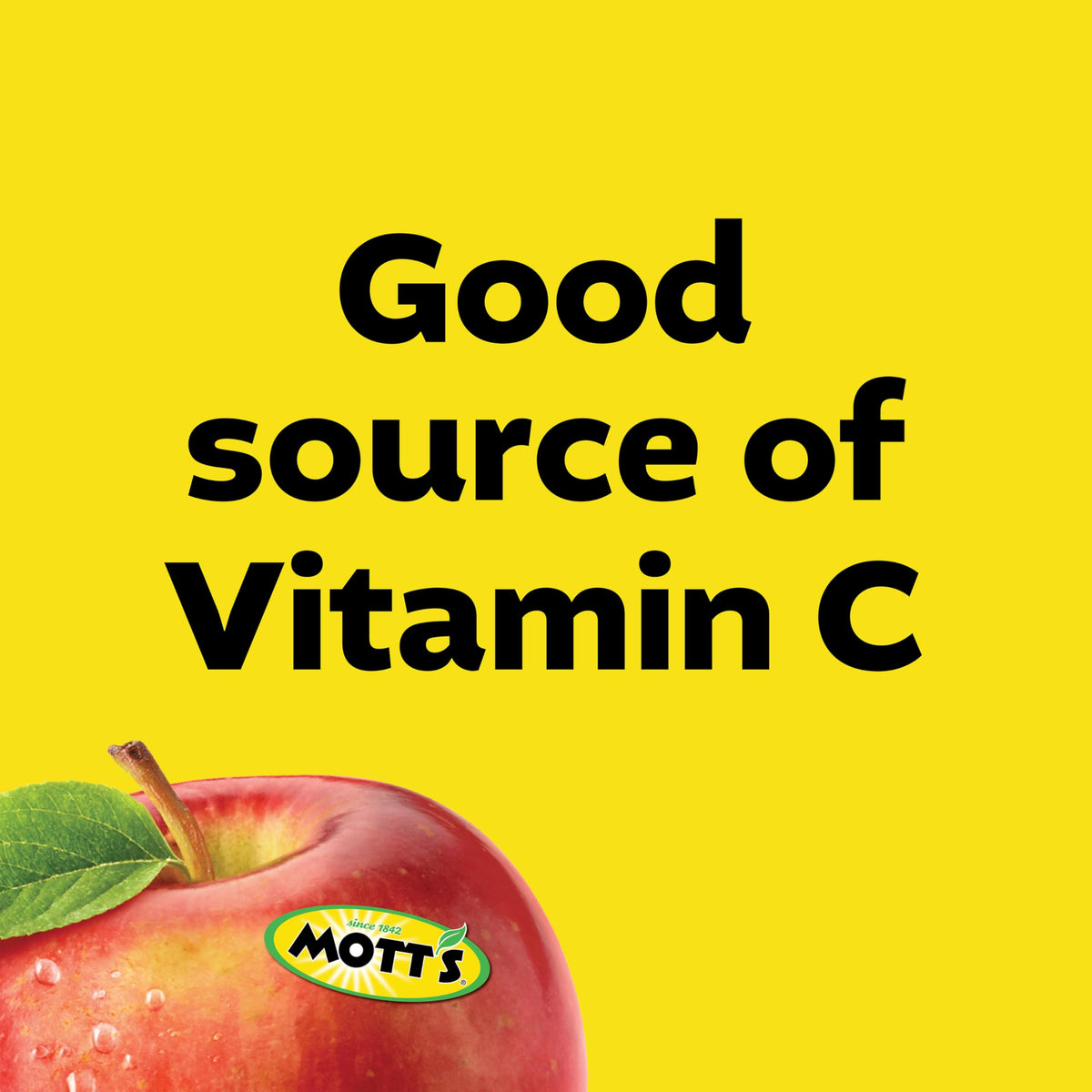 Mott's Cinnamon Applesauce 3.2 oz Clear Pouches — 48 Count (4 Packs of 12) No Artificial Flavors