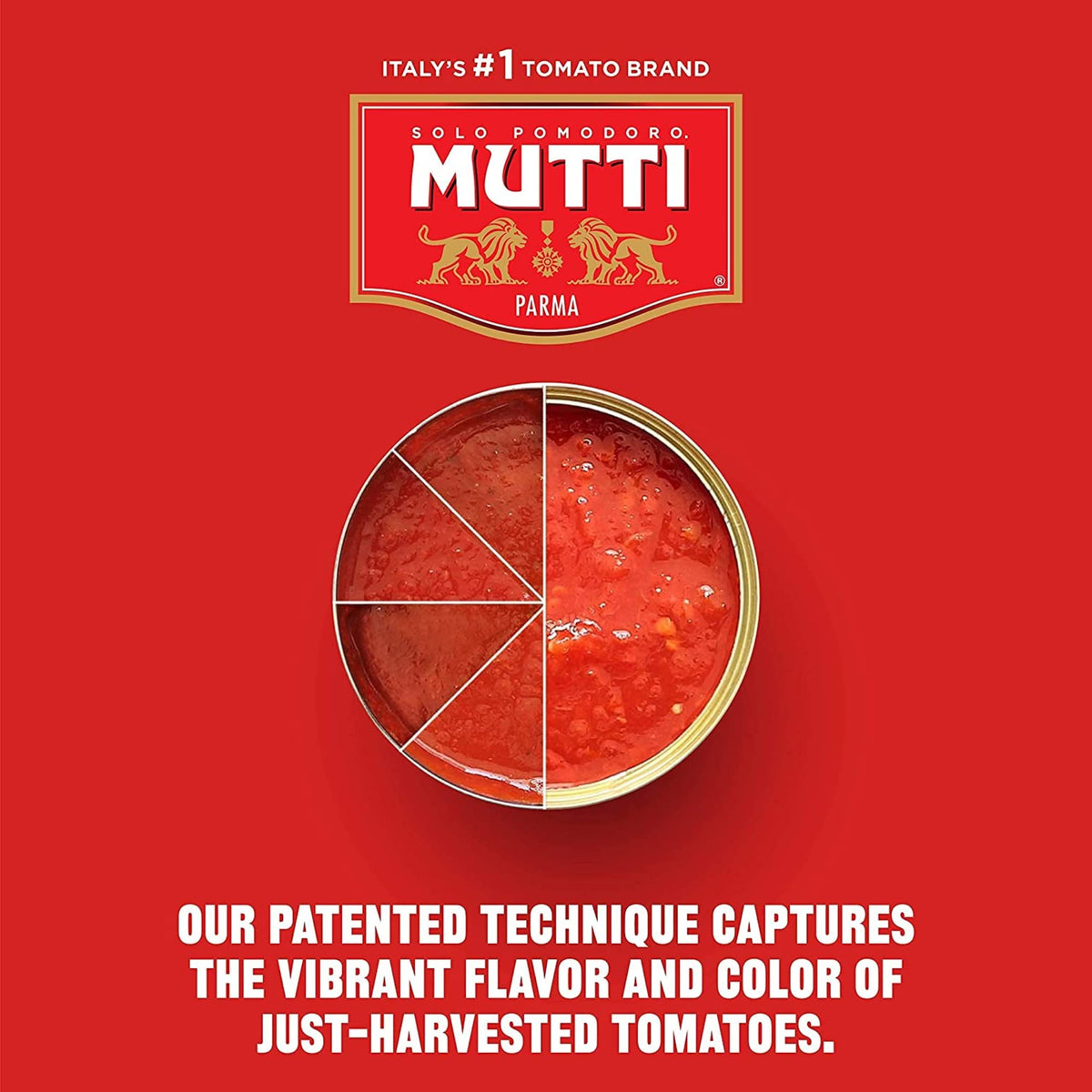 Mutti Organic Tomato Puree (Passata) – 19.7 oz x6 | Italy's #1 Tomato Brand | No Additives or Preservatives