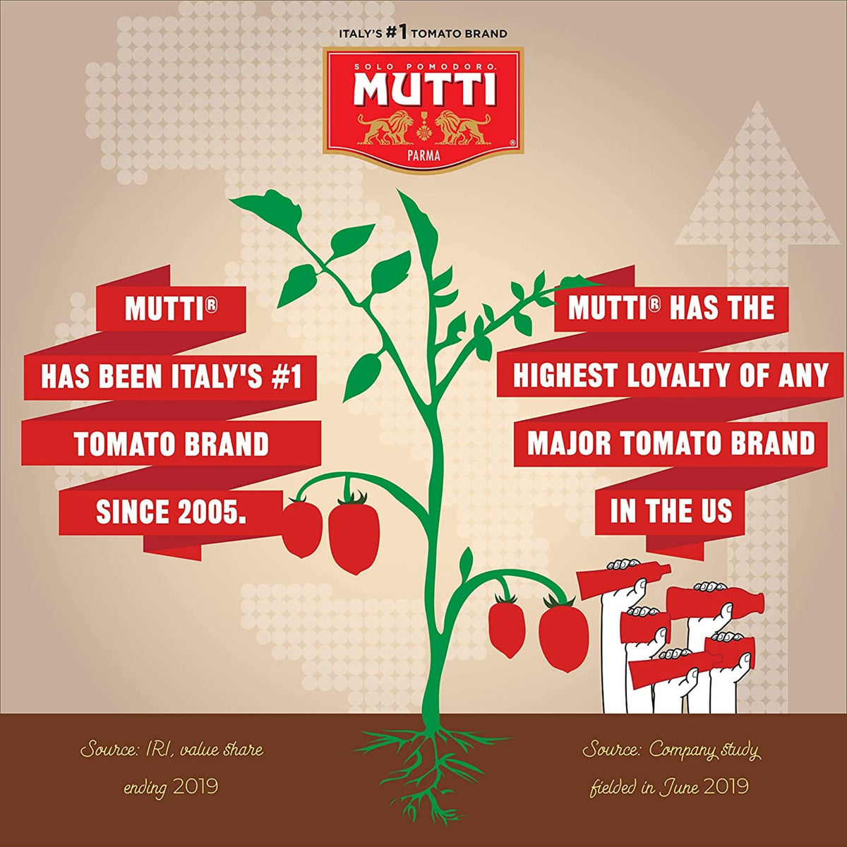 Mutti Organic Tomato Puree (Passata) – 19.7 oz x6 | Italy's #1 Tomato Brand | No Additives or Preservatives